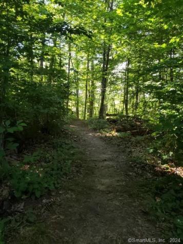 9 Beech Street Farmington CT 06032