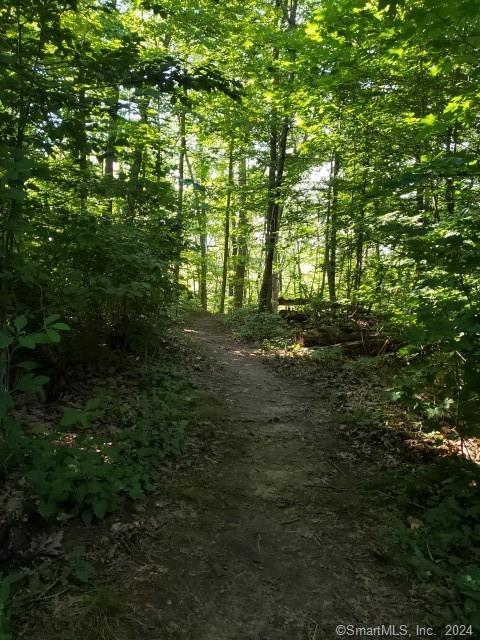 9 Beech Street Farmington CT 06032