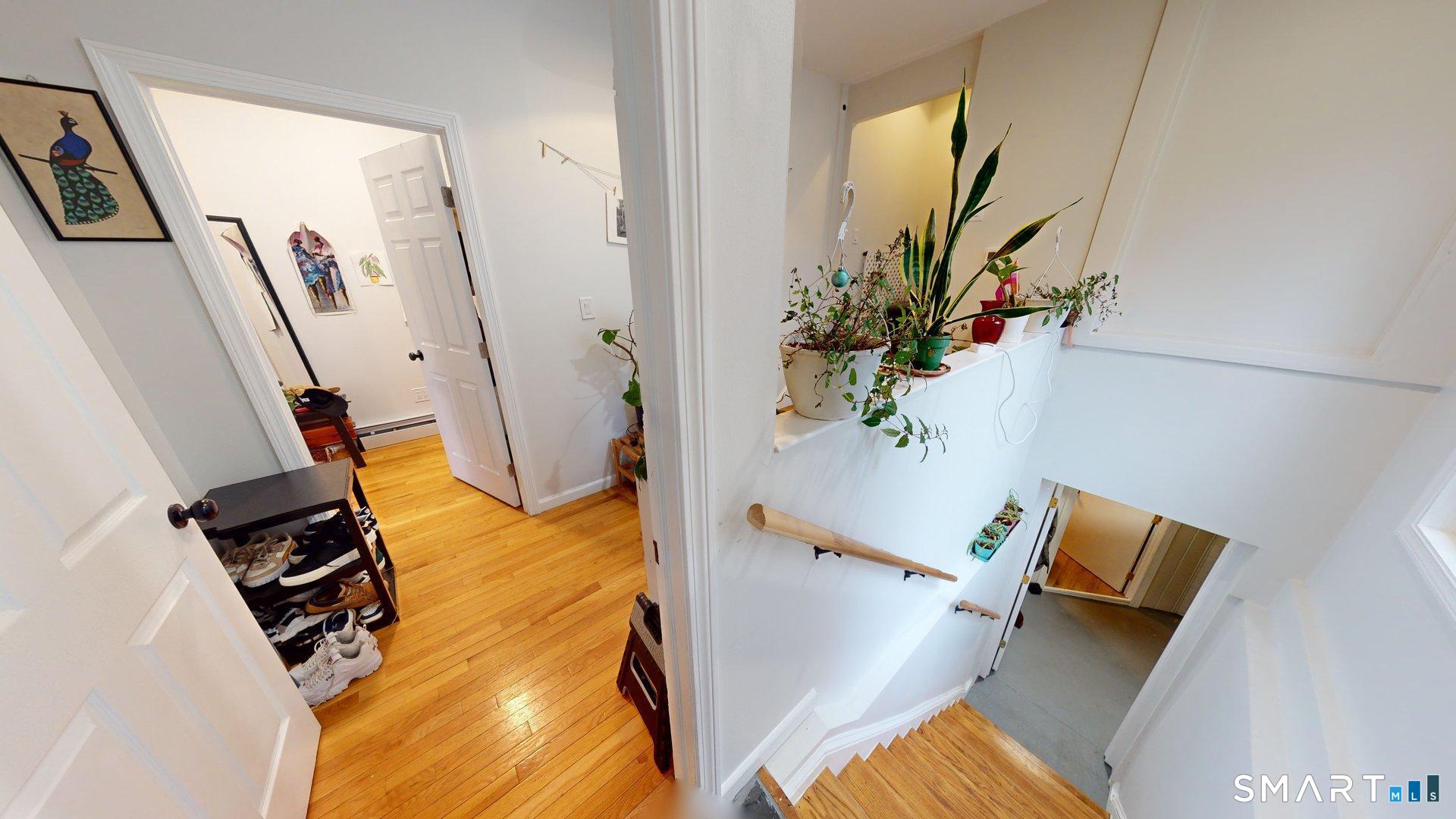New Haven CT 06511