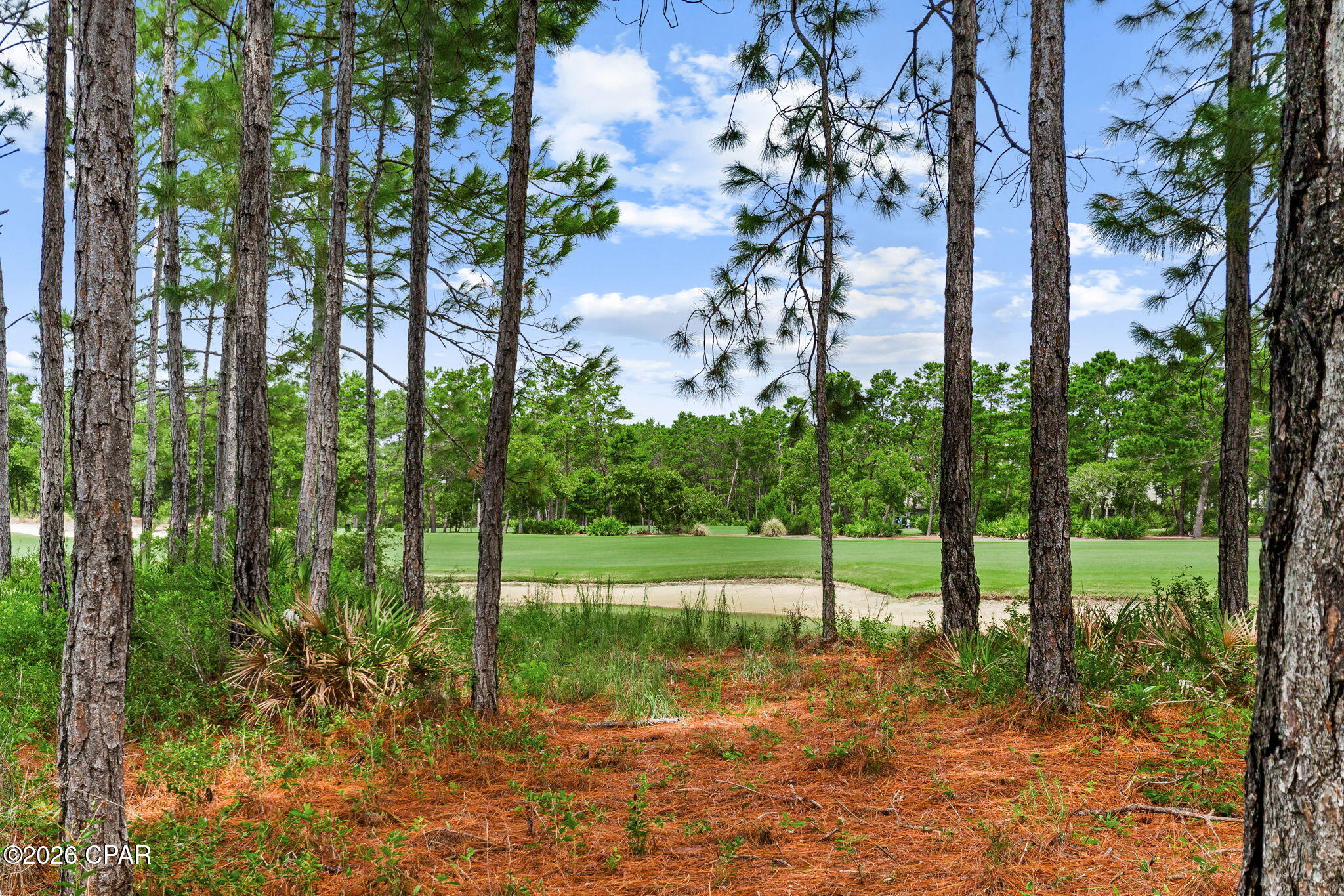 1401 Salamander Trail Panama City Beach FL 32413