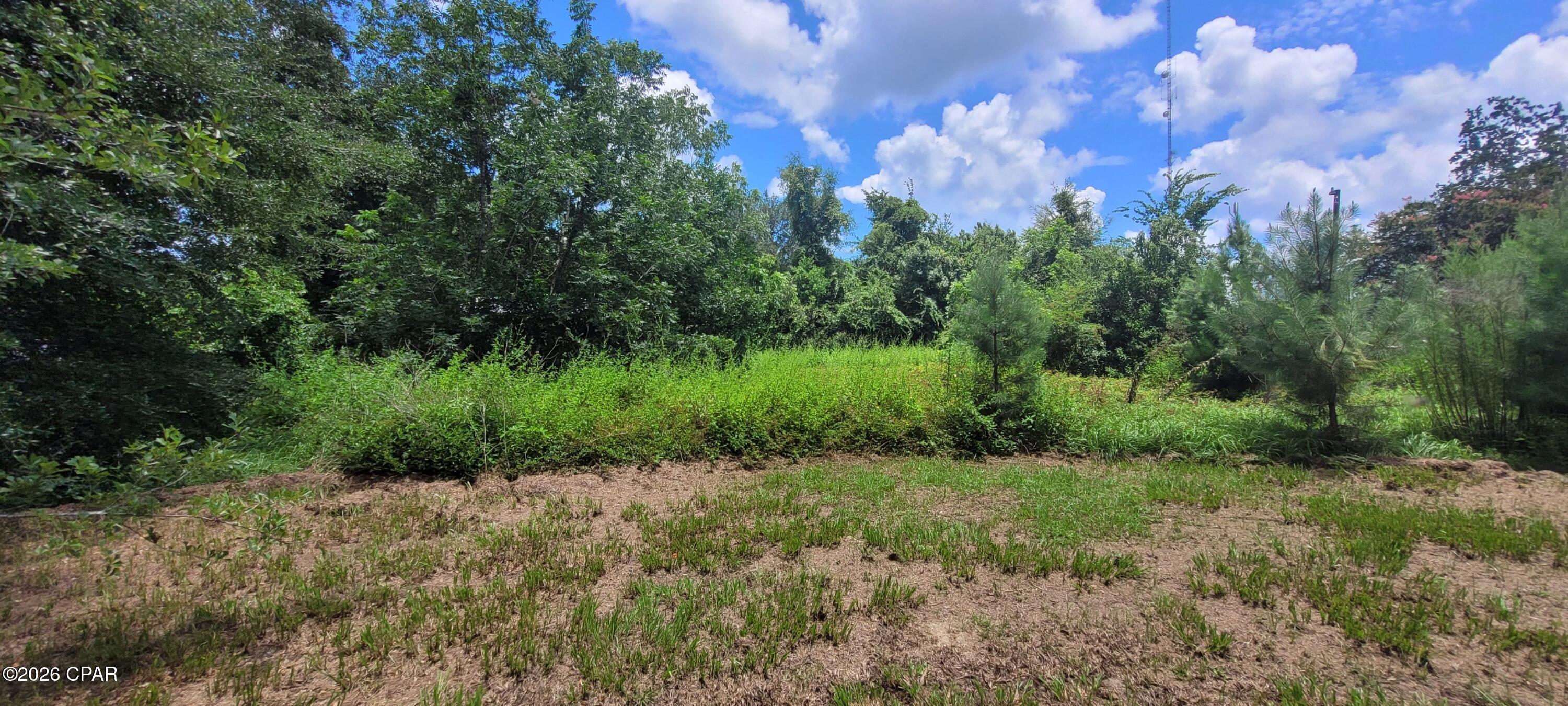 450 Henry Avenue Wewahitchka FL 32465