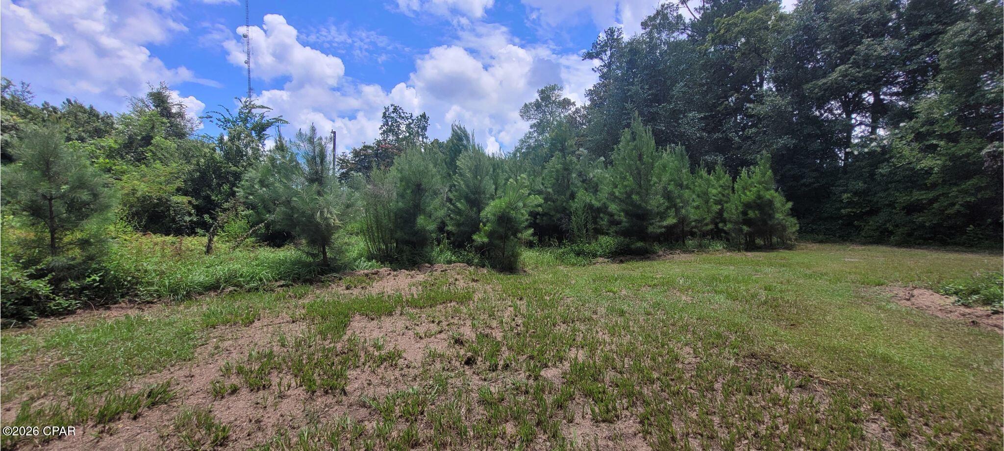 450 Henry Avenue Wewahitchka FL 32465