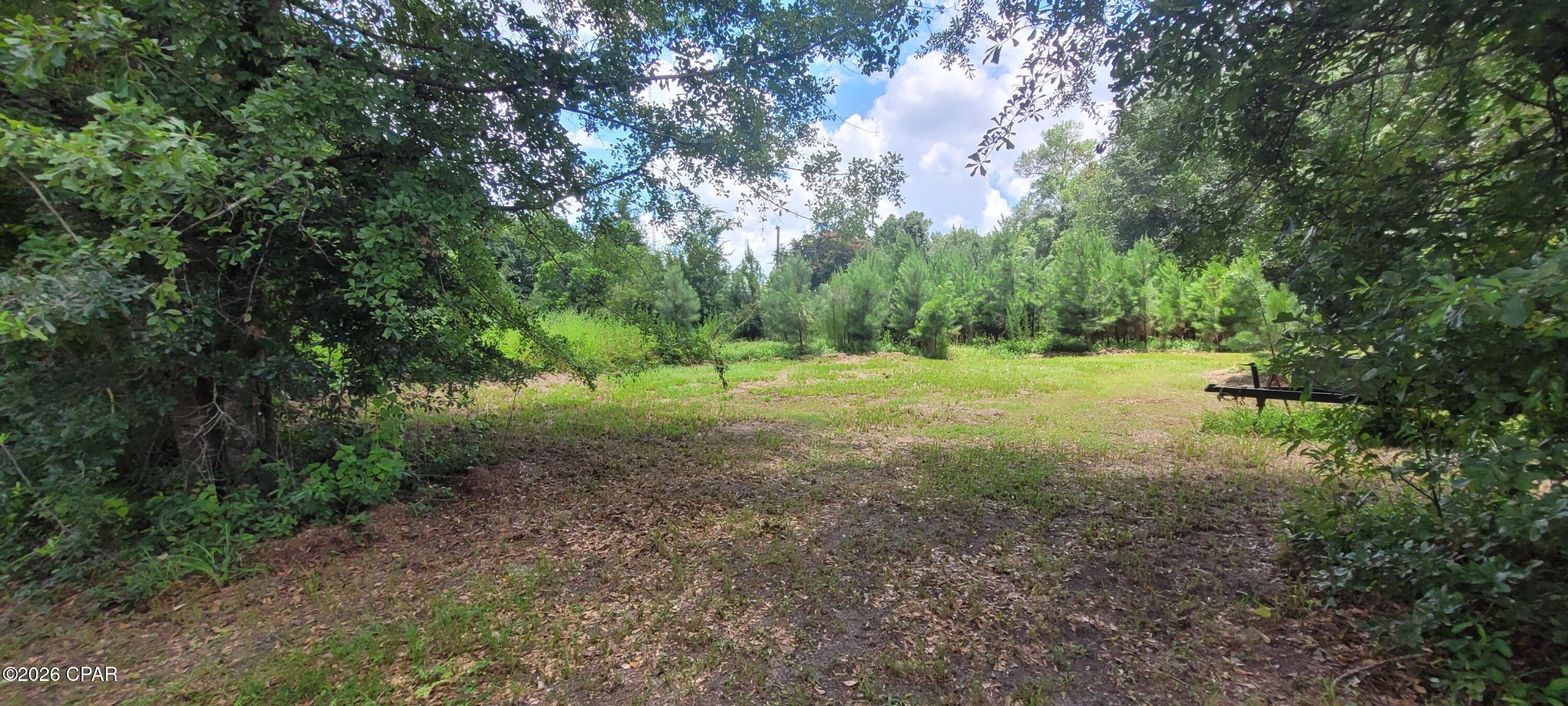 450 Henry Avenue Wewahitchka FL 32465