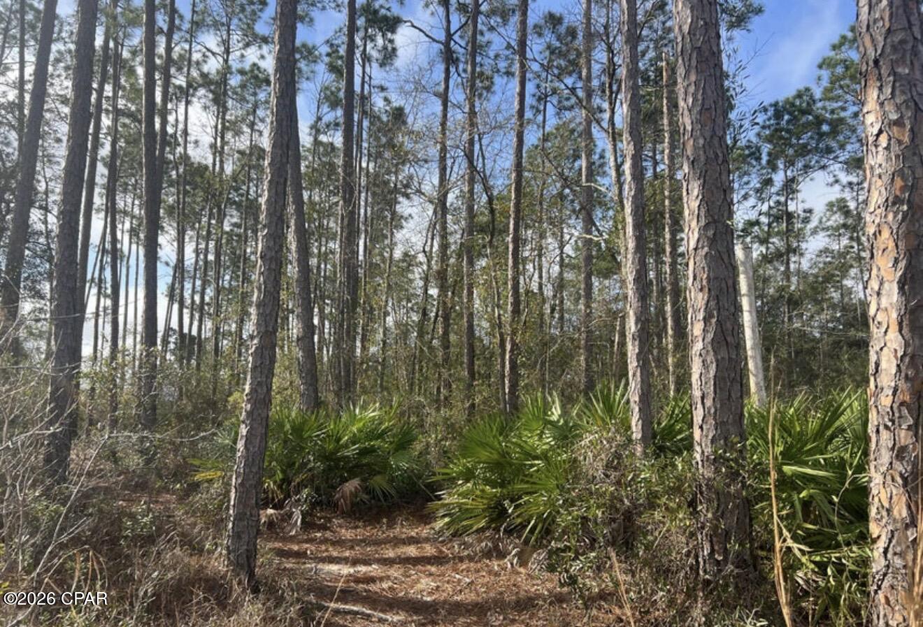215 White Oaks Boulevard Panama City FL 32409