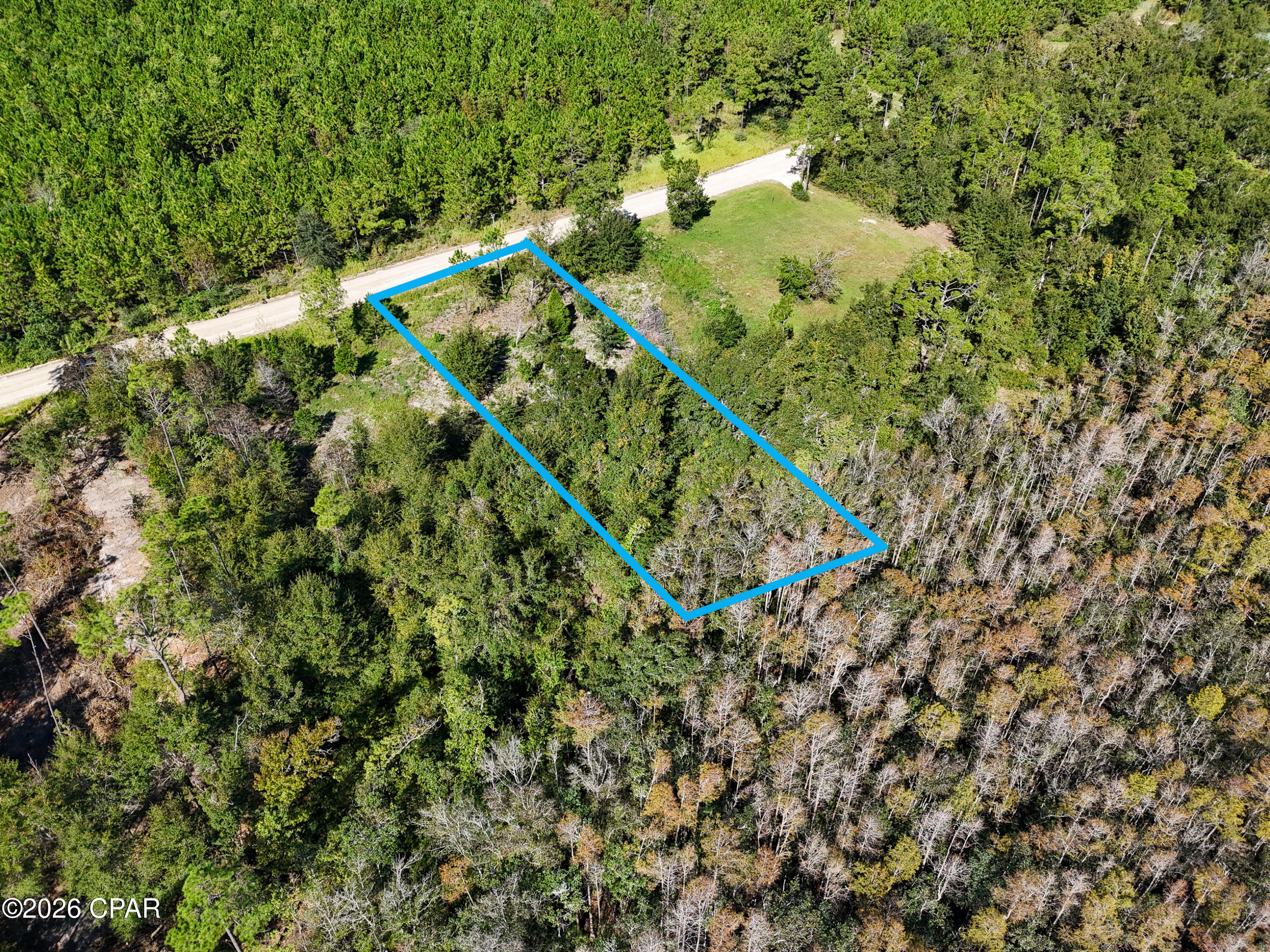 00000 Dead Lakes Drive Wewahitchka FL 32465