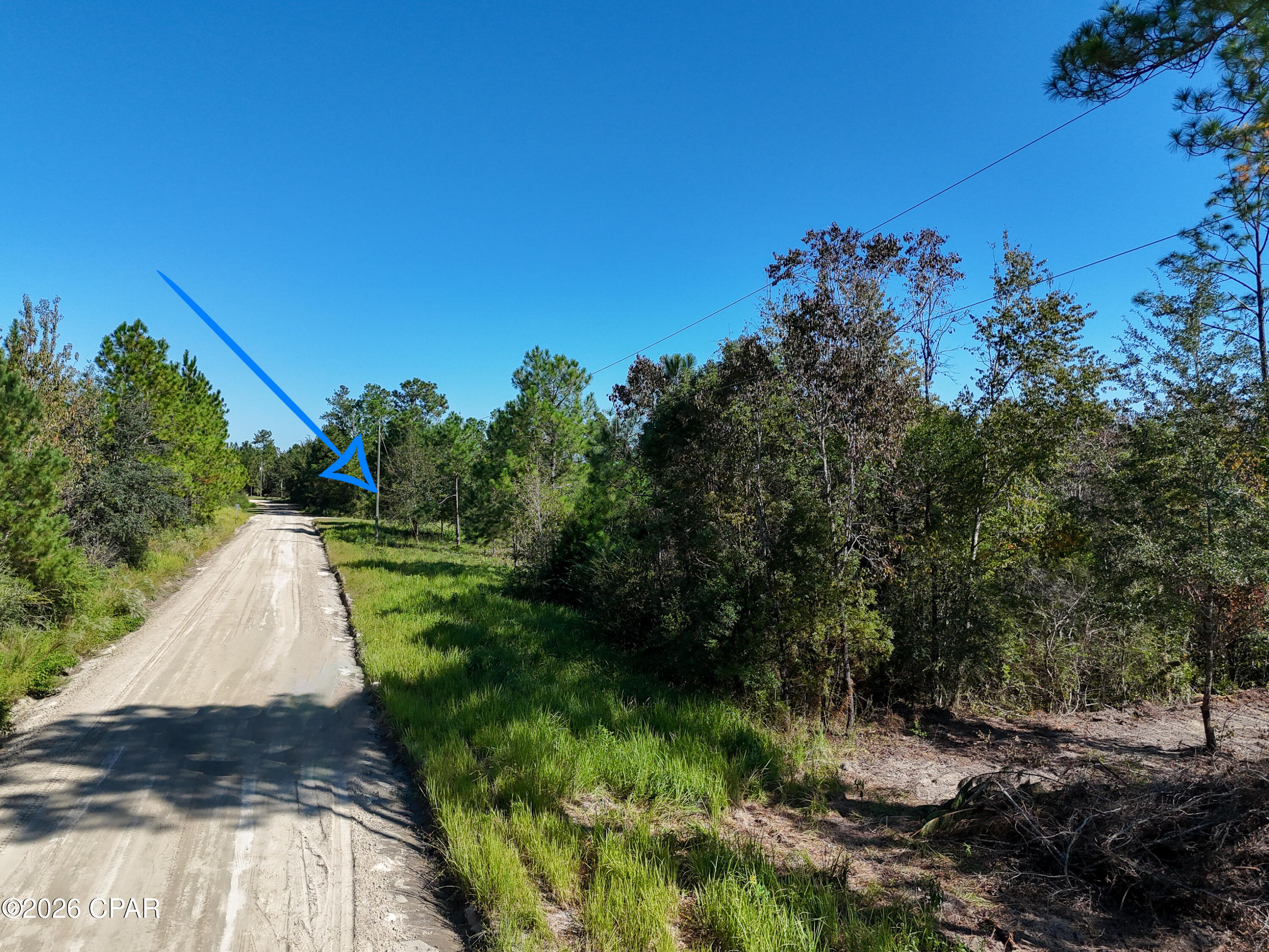 00000 Dead Lakes Drive Wewahitchka FL 32465