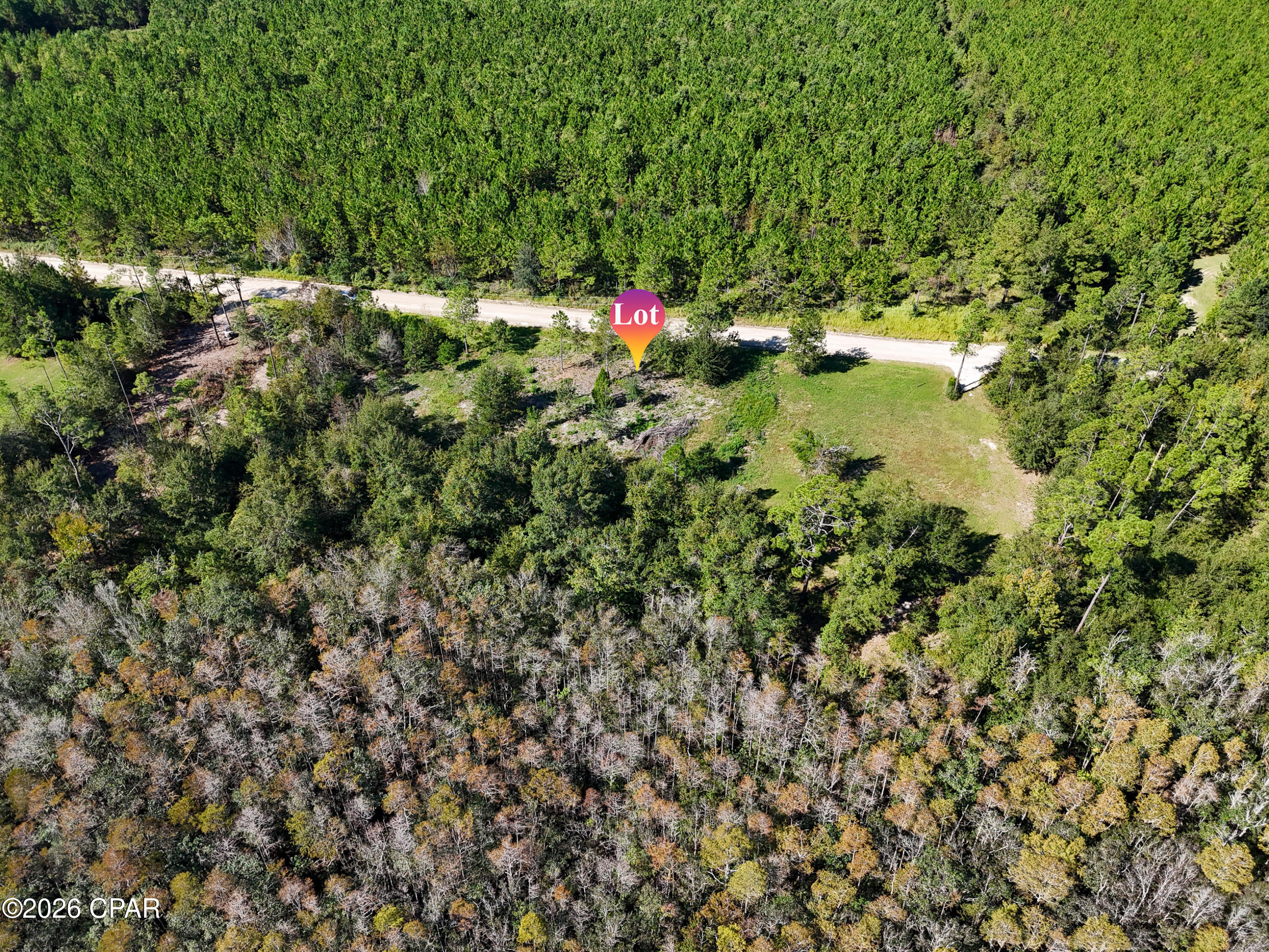 00000 Dead Lakes Drive Wewahitchka FL 32465