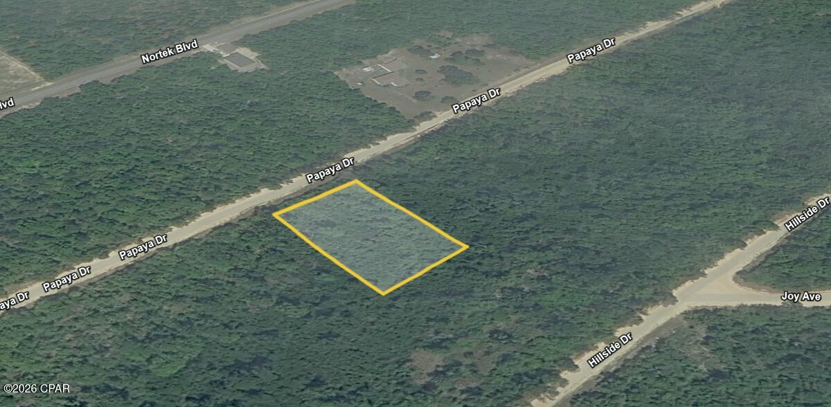 0 Papaya Drive Marianna FL 32448