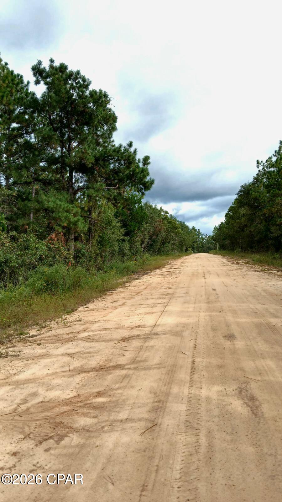 0 Papaya Drive Marianna FL 32448