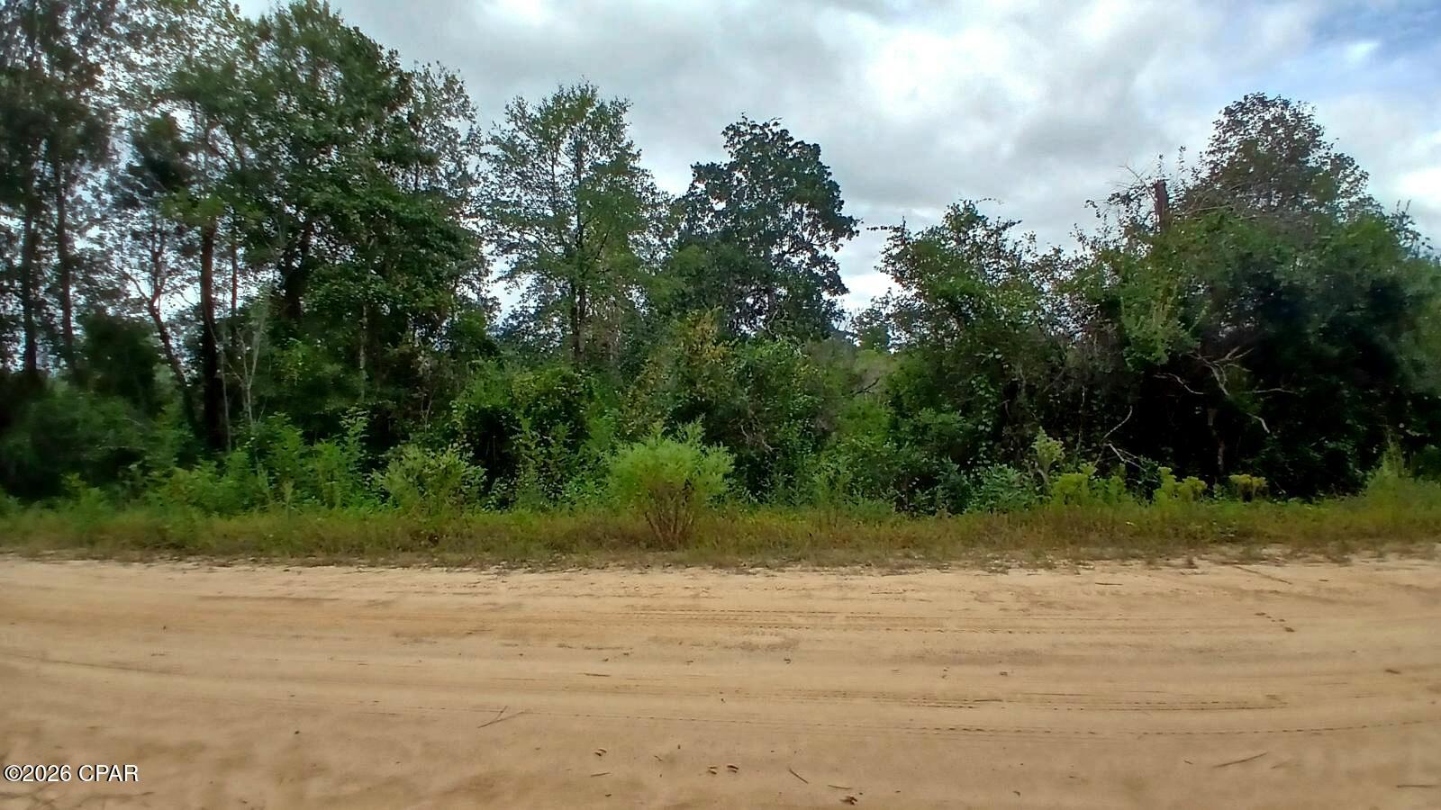 0 Papaya Drive Marianna FL 32448