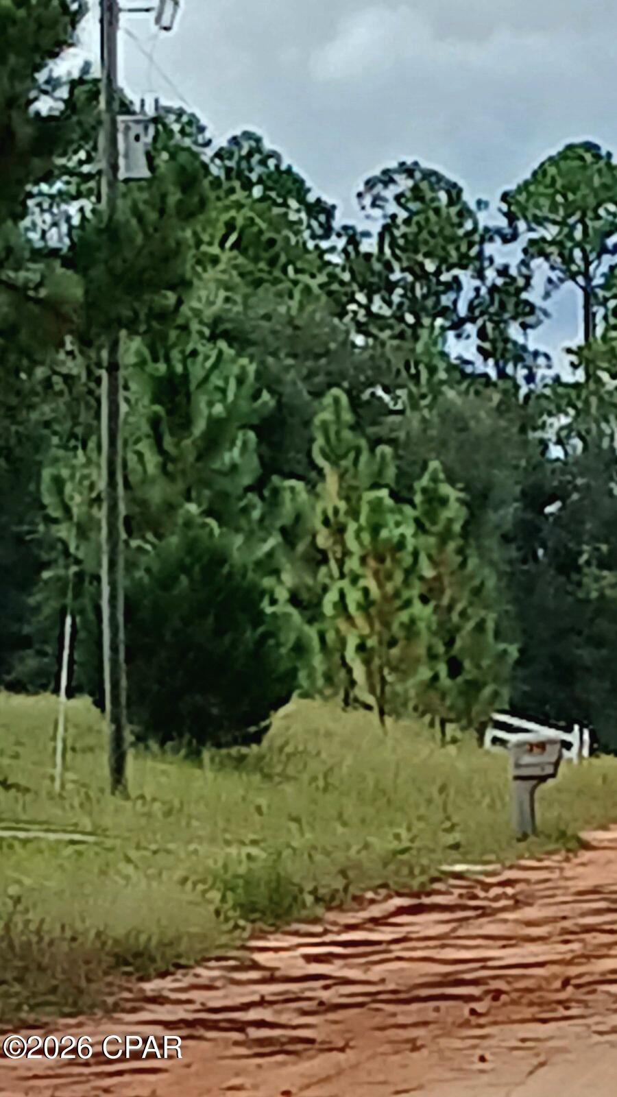 0 Papaya Drive Marianna FL 32448
