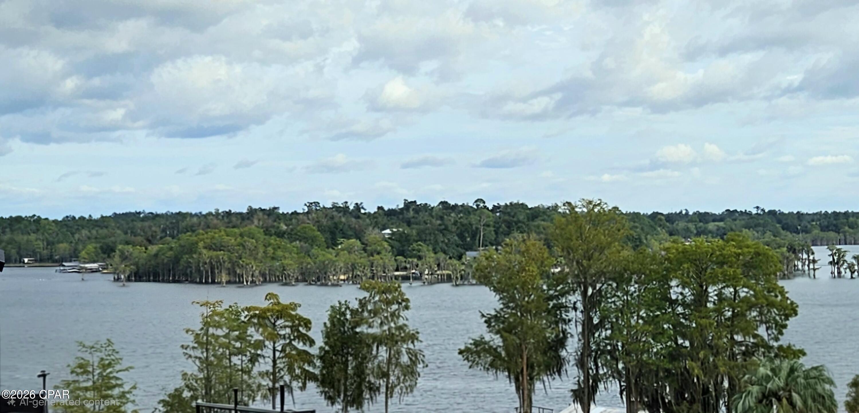 0 Papaya Drive Marianna FL 32448