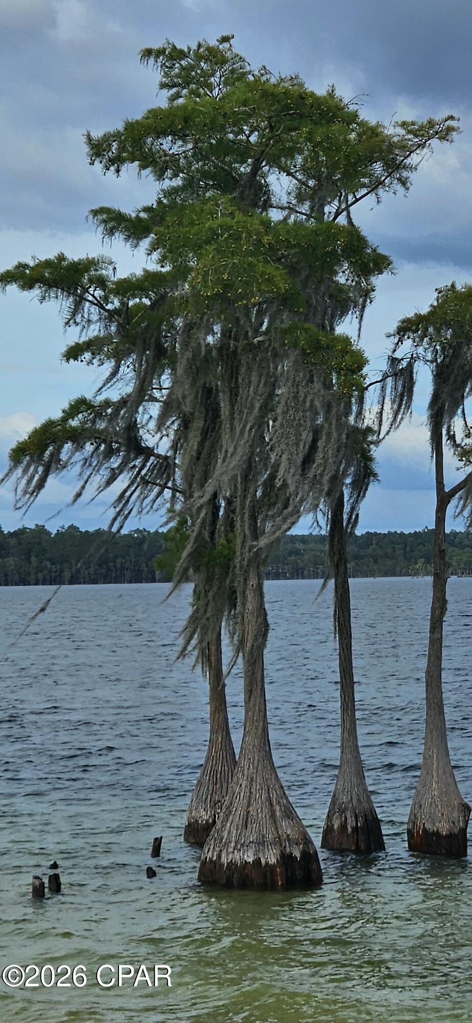 0 Papaya Drive Marianna FL 32448