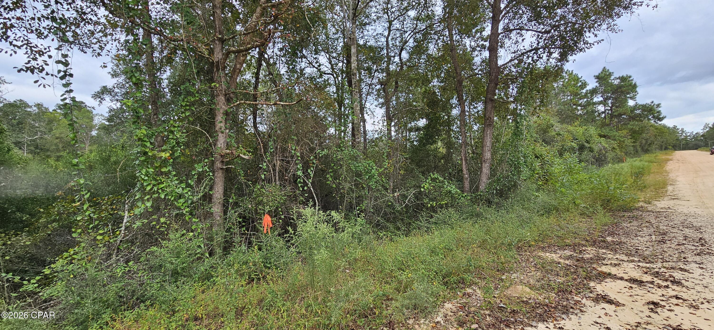 0 Papaya Drive Marianna FL 32448