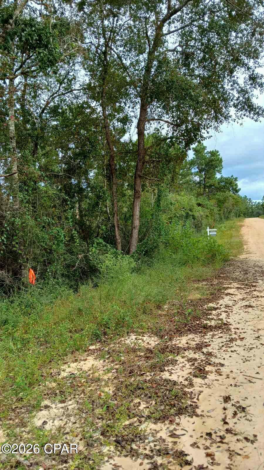 0 Papaya Drive Marianna FL 32448