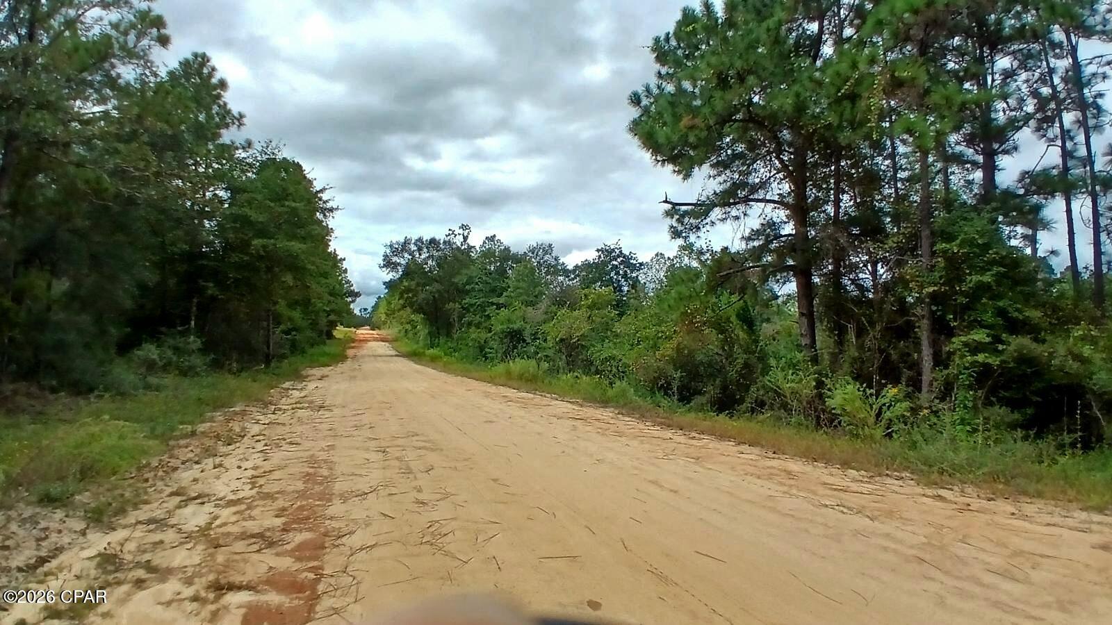 0 Papaya Drive Marianna FL 32448