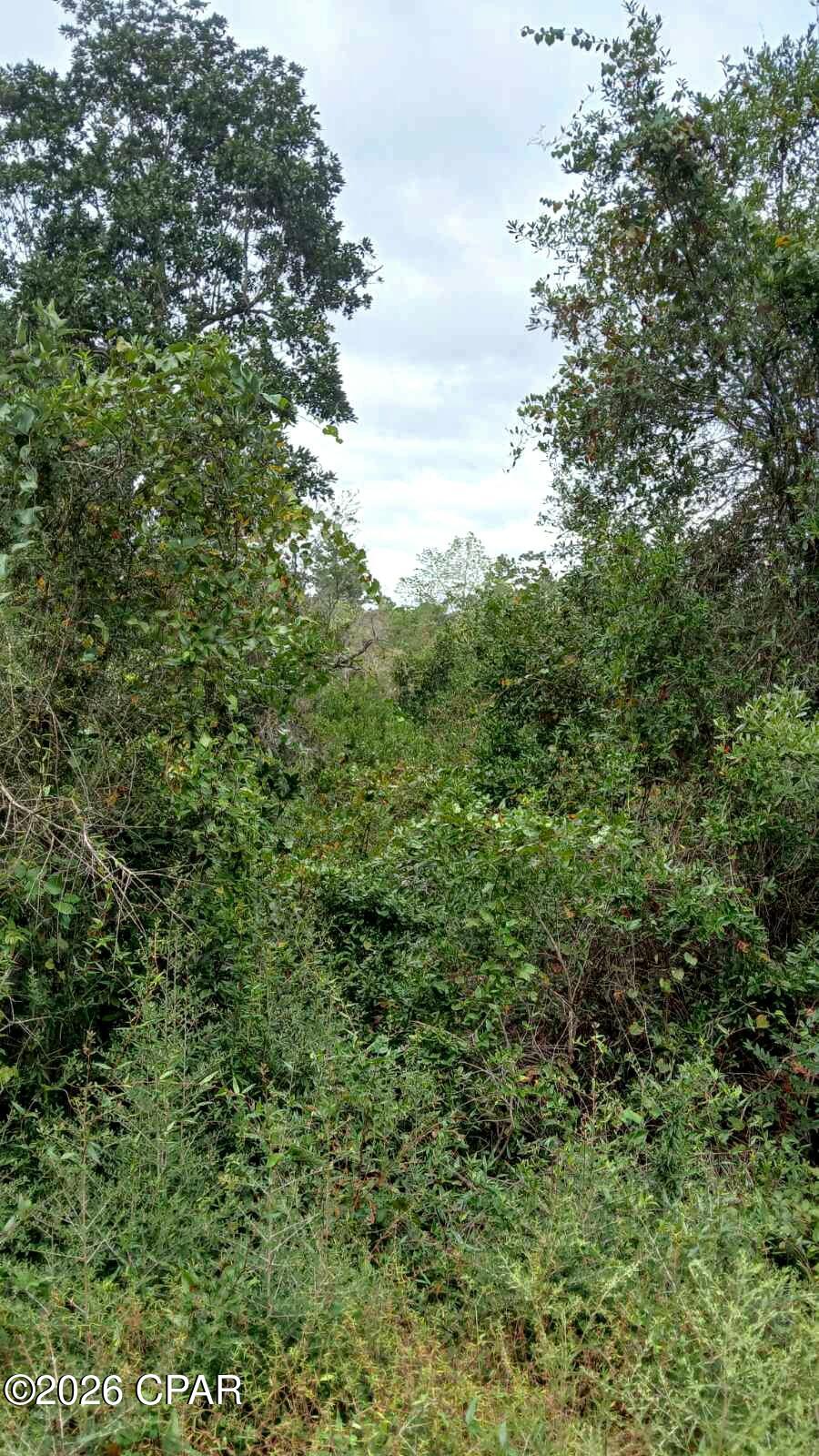 0 Papaya Drive Marianna FL 32448