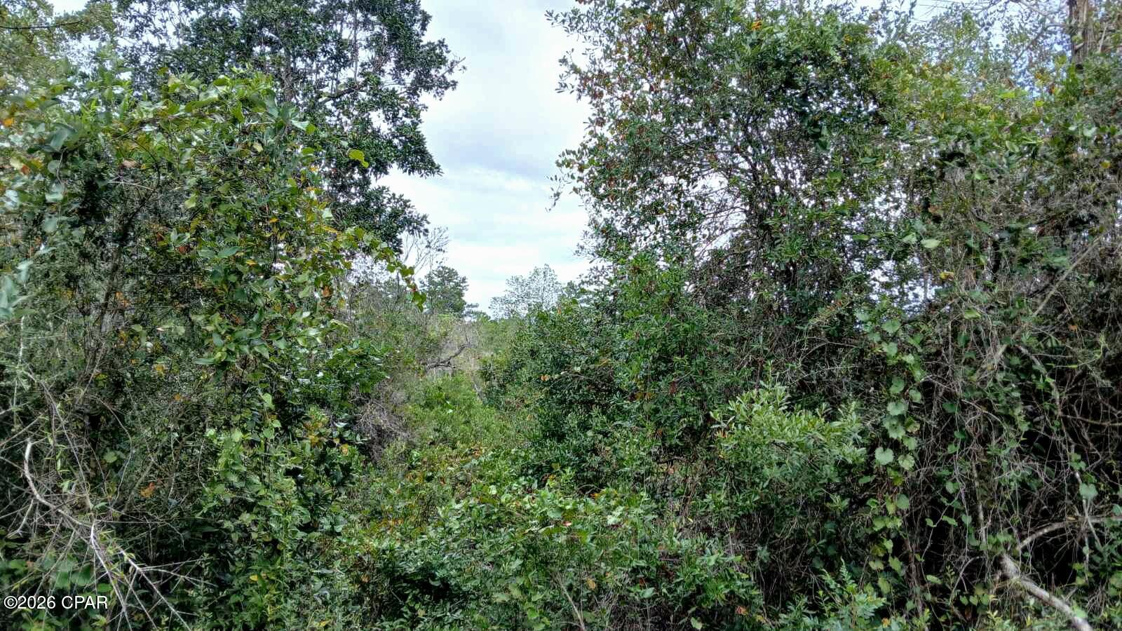 0 Papaya Drive Marianna FL 32448