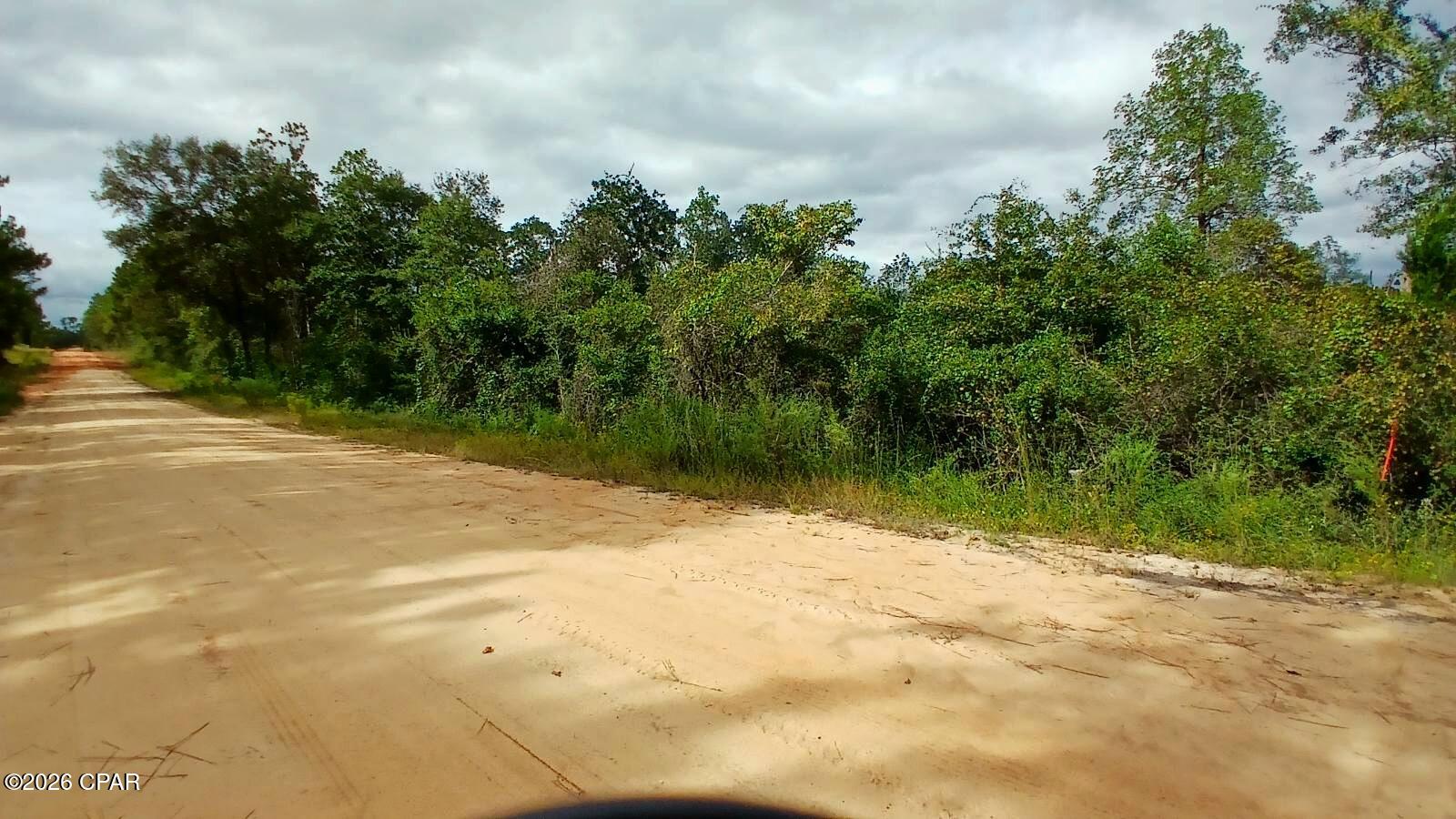 0 Papaya Drive Marianna FL 32448