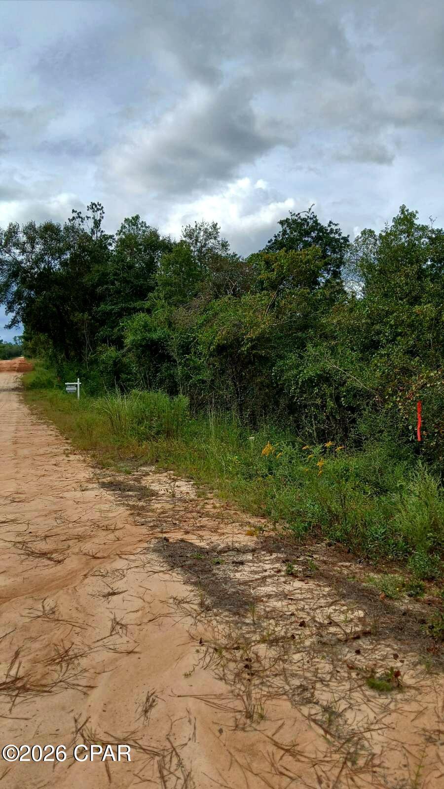 0 Papaya Drive Marianna FL 32448