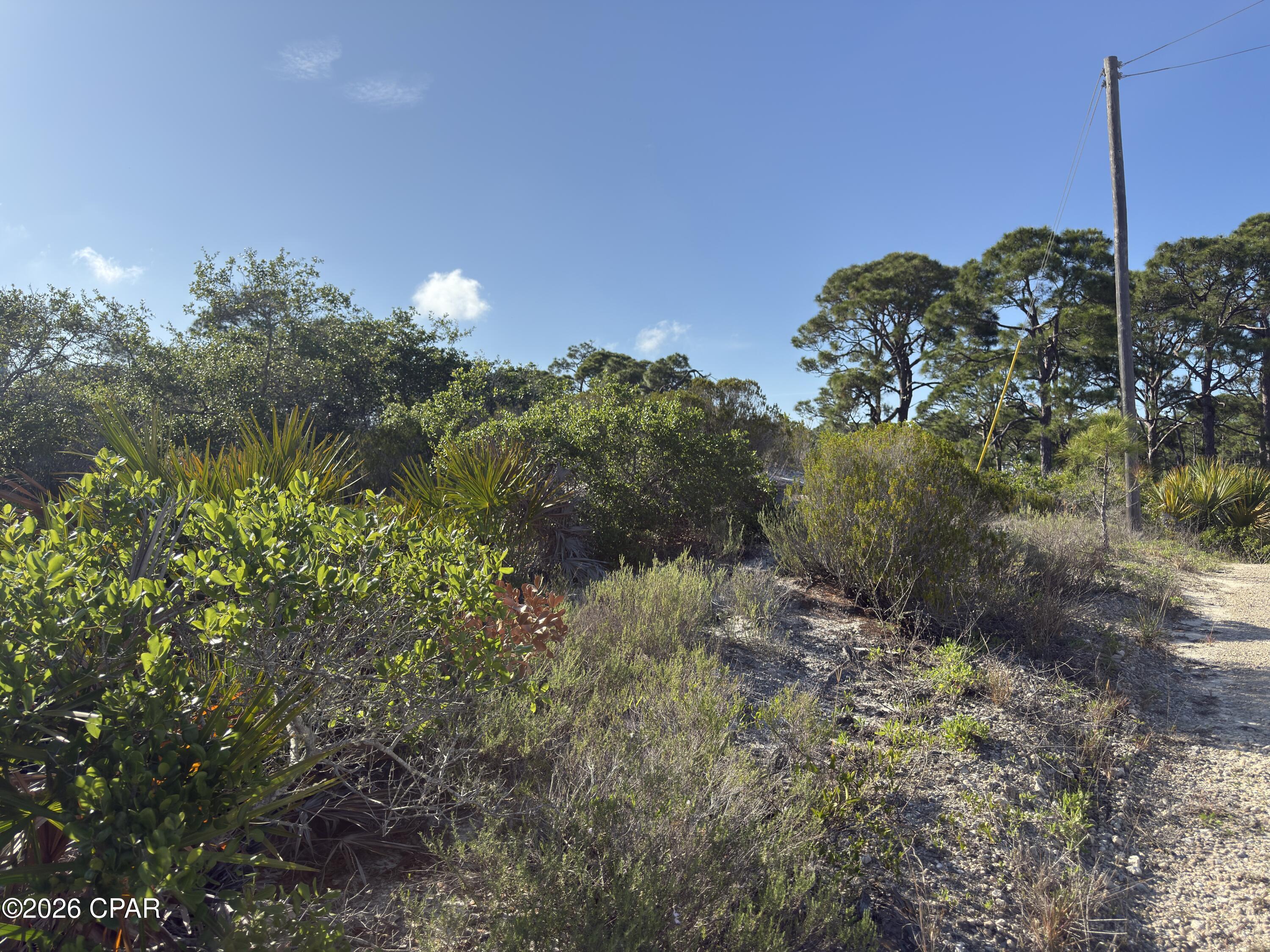 105 Sand Trace Drive Cape San Blas FL 32456
