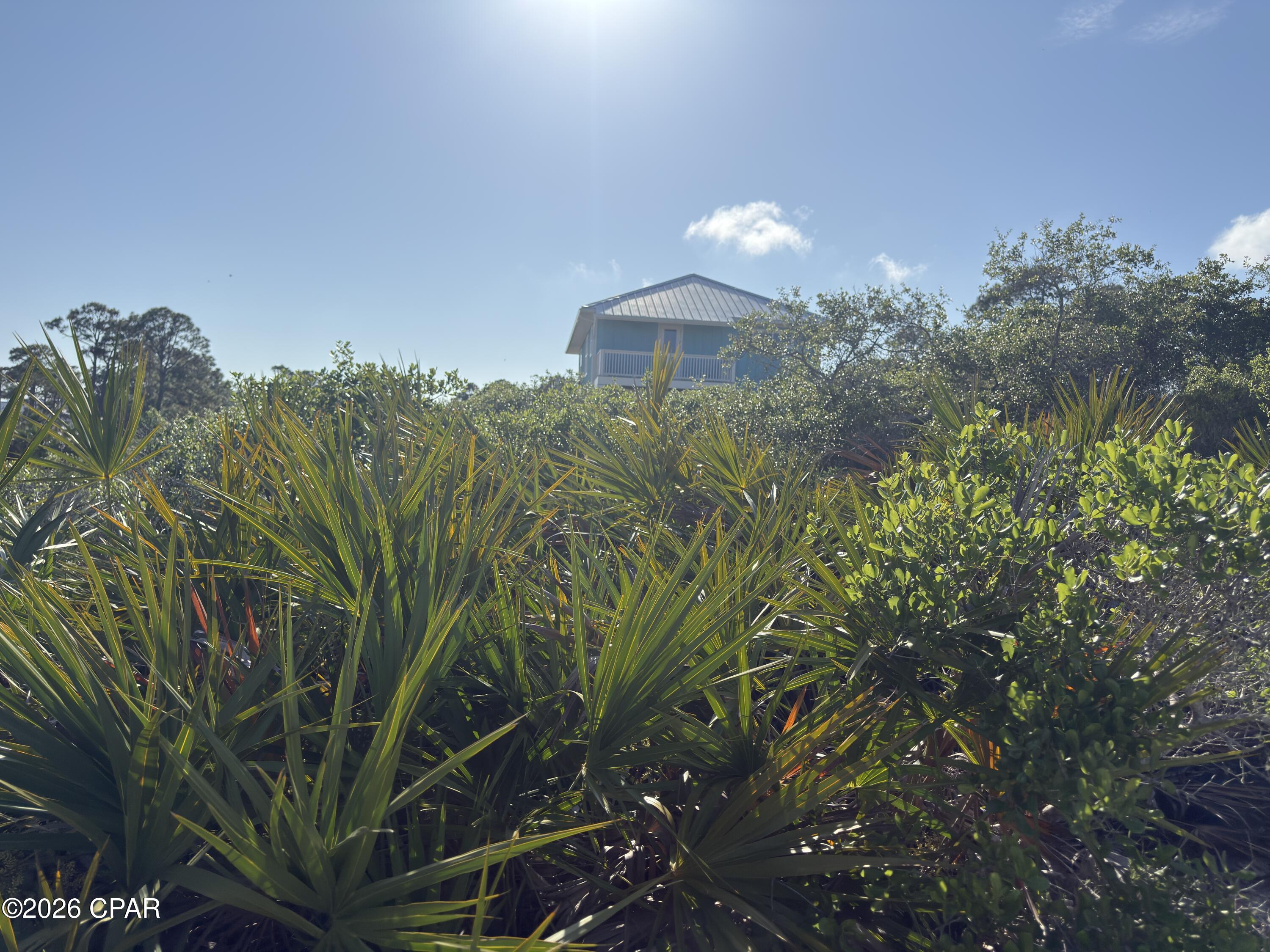 105 Sand Trace Drive Cape San Blas FL 32456