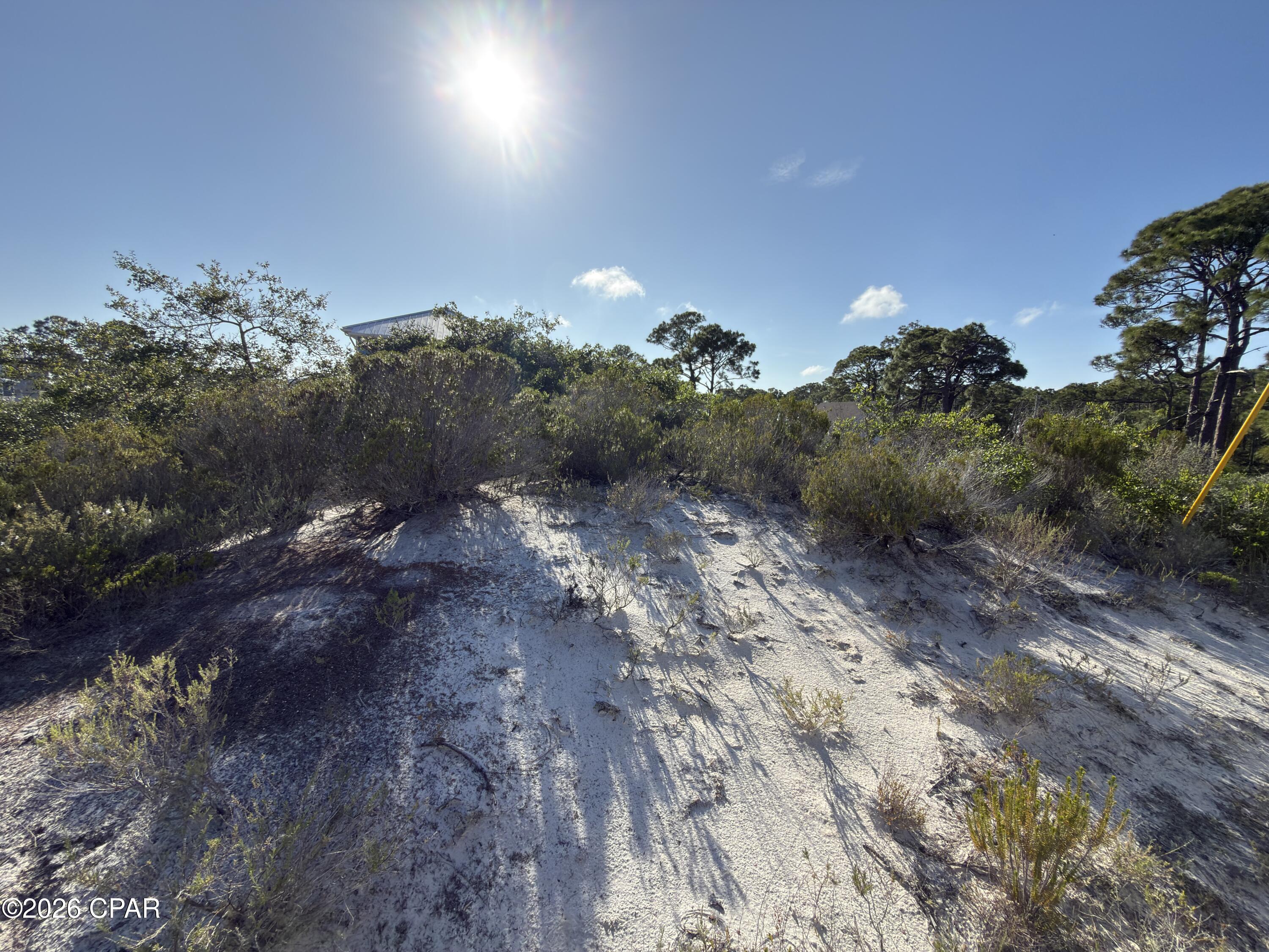 105 Sand Trace Drive Cape San Blas FL 32456