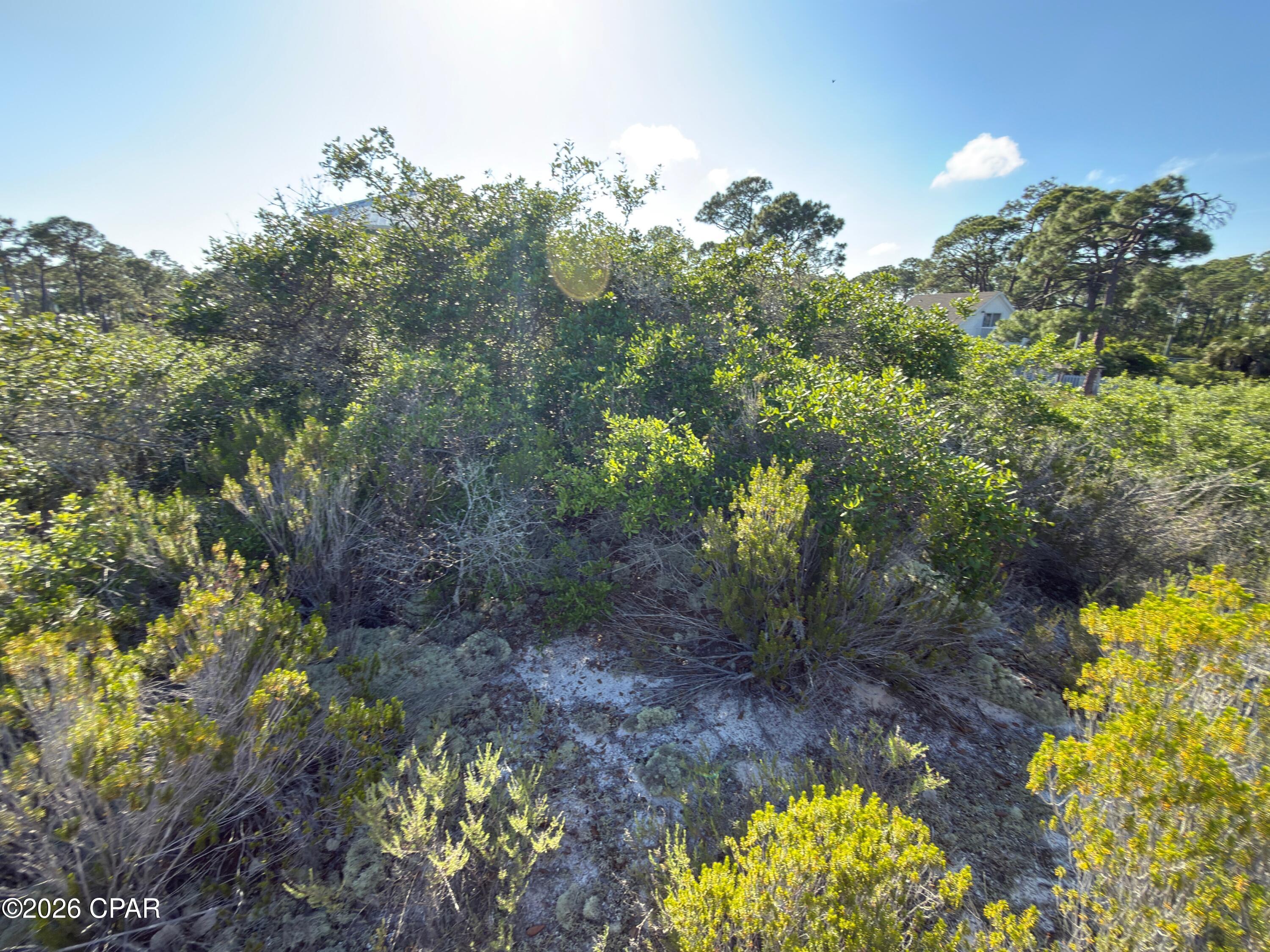 105 Sand Trace Drive Cape San Blas FL 32456