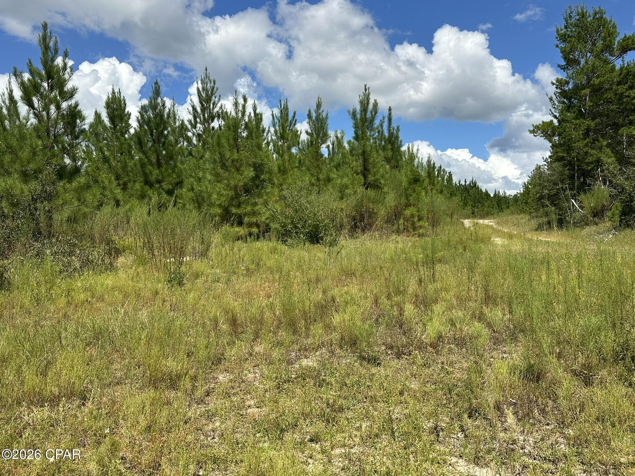 TRACT#6418 N Mattox Springs Road Caryville FL 32427