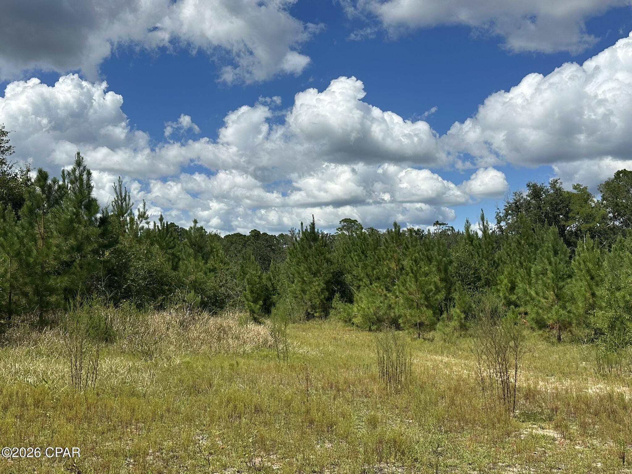 TRACT#6418 N Mattox Springs Road Caryville FL 32427