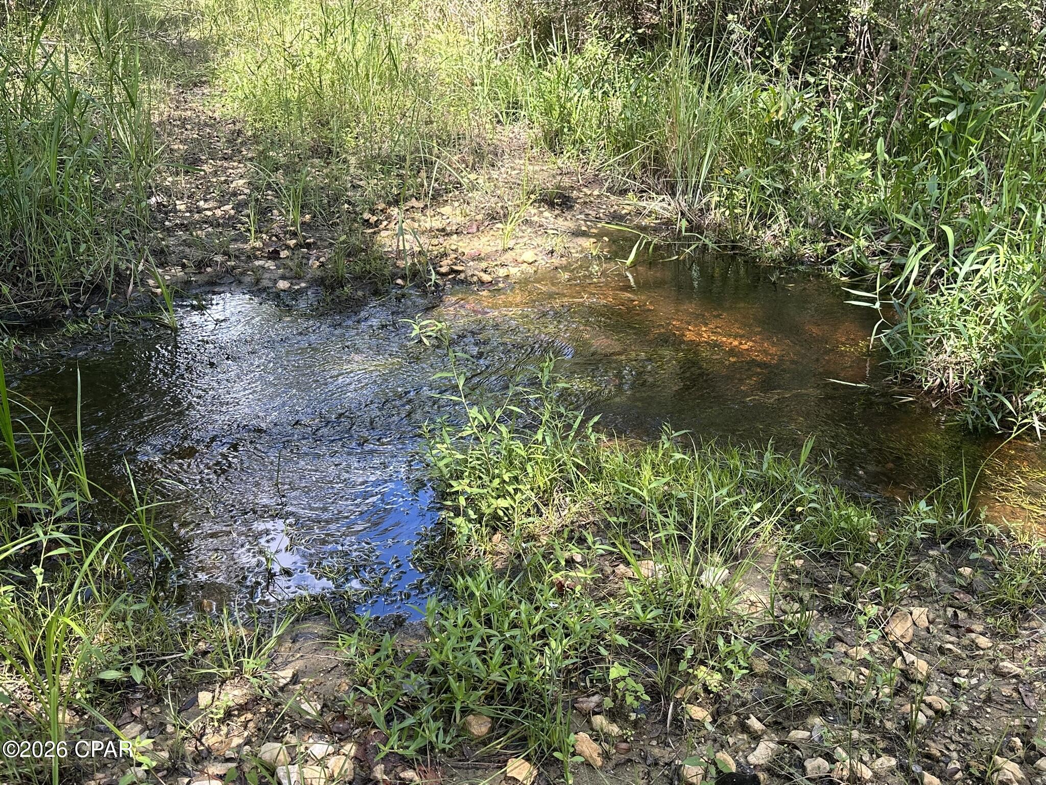 TRACT#6418 N Mattox Springs Road Caryville FL 32427