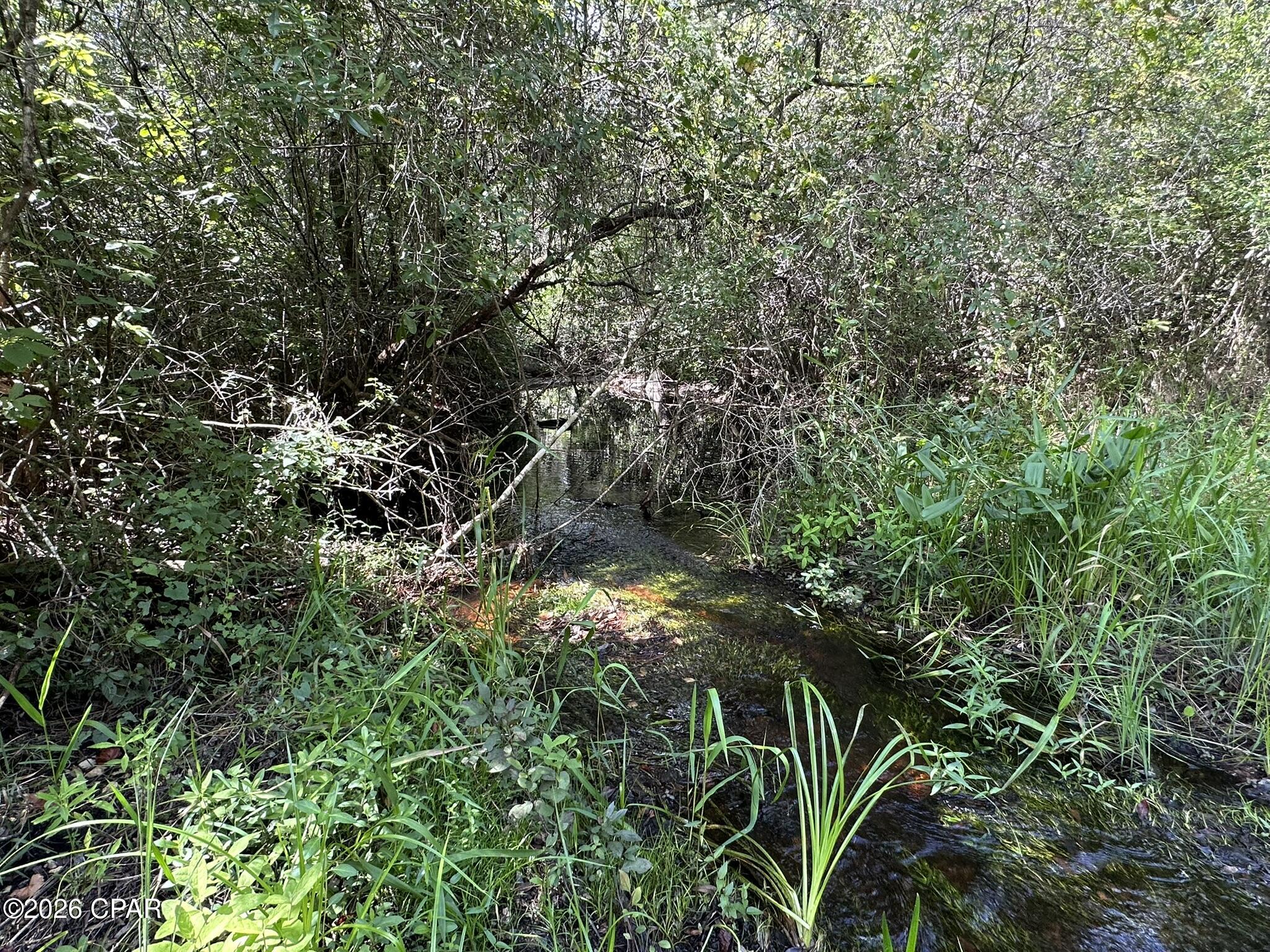 TRACT#6418 N Mattox Springs Road Caryville FL 32427