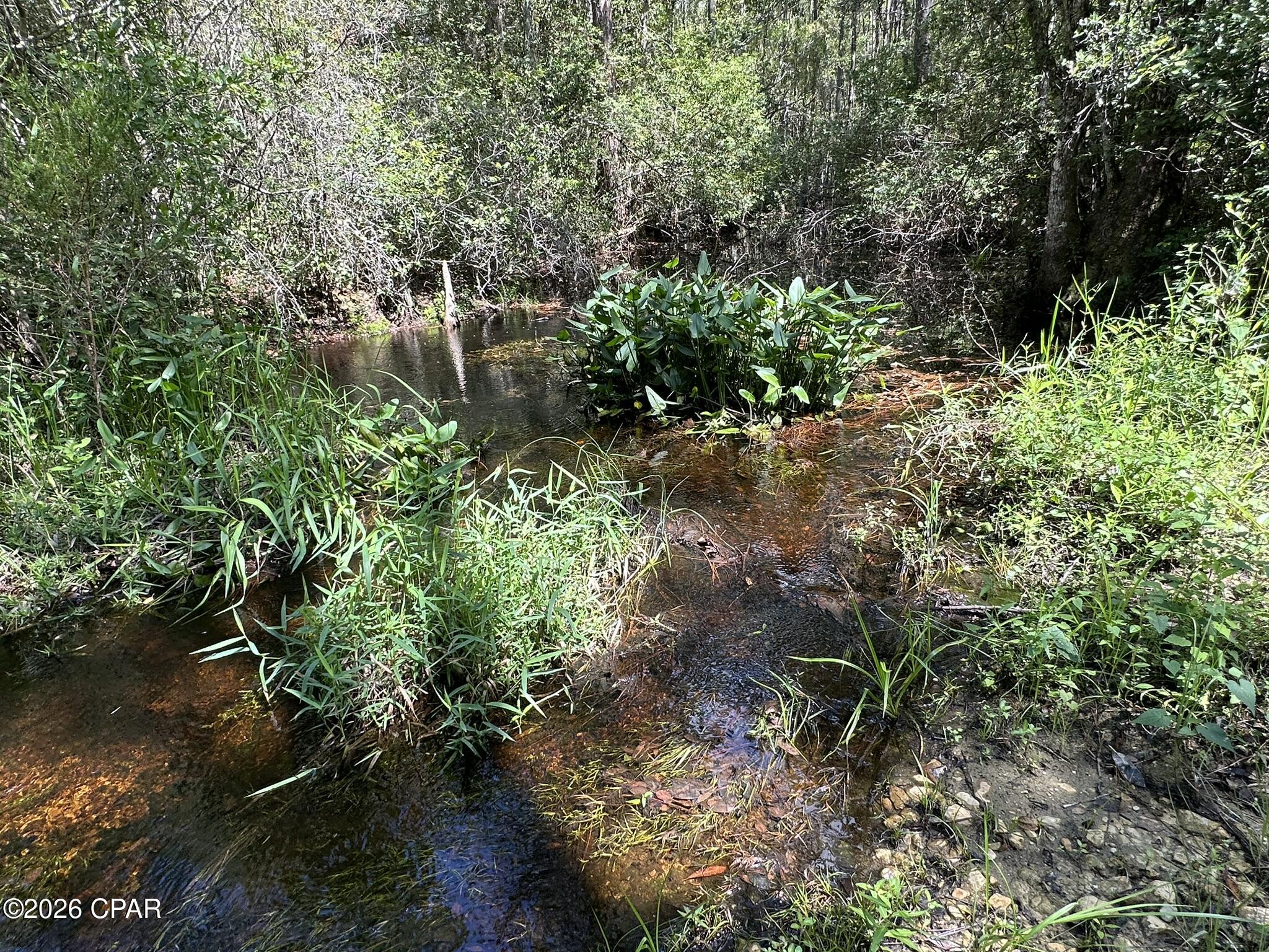 TRACT#6418 N Mattox Springs Road Caryville FL 32427