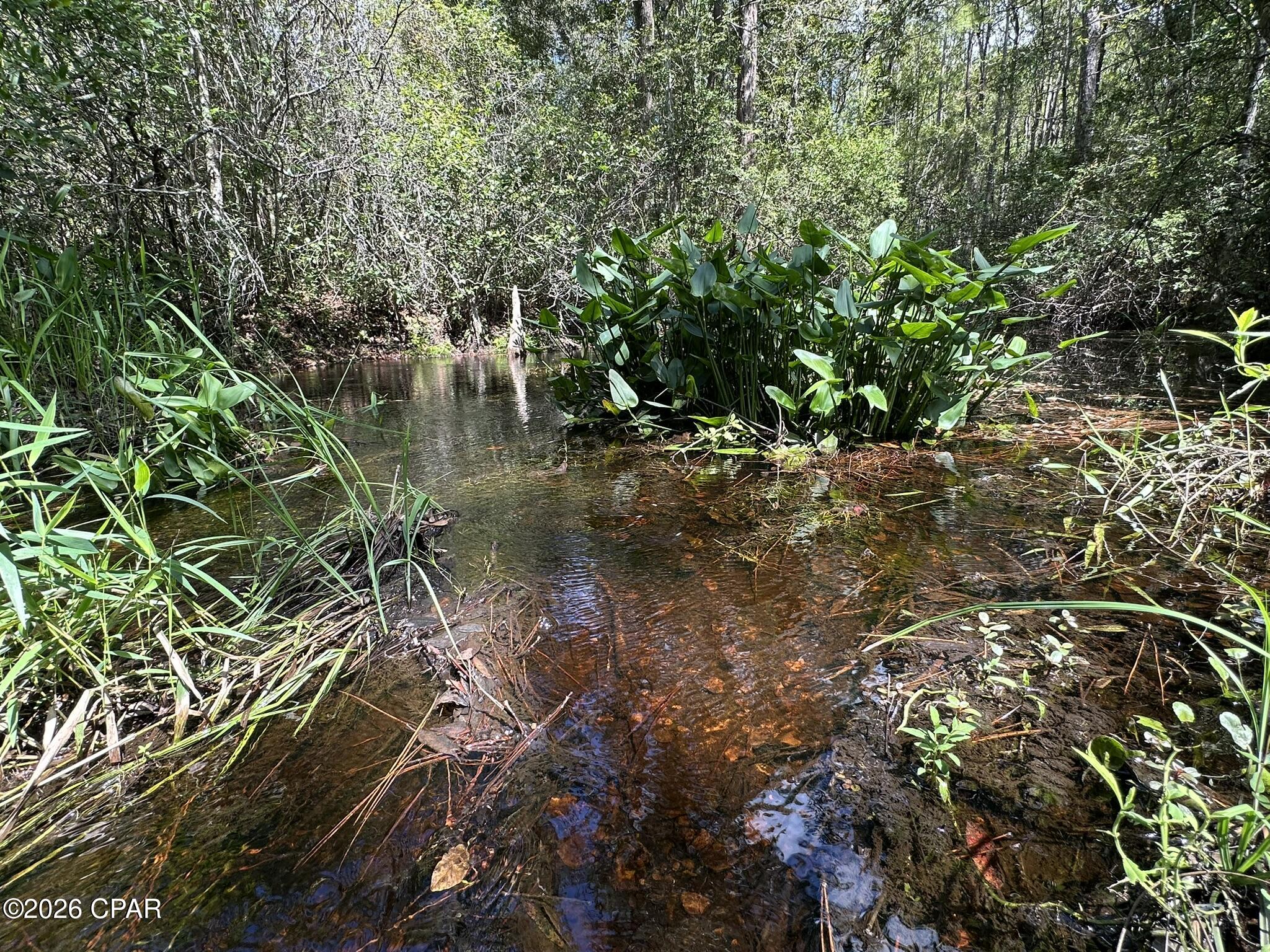 TRACT#6418 N Mattox Springs Road Caryville FL 32427