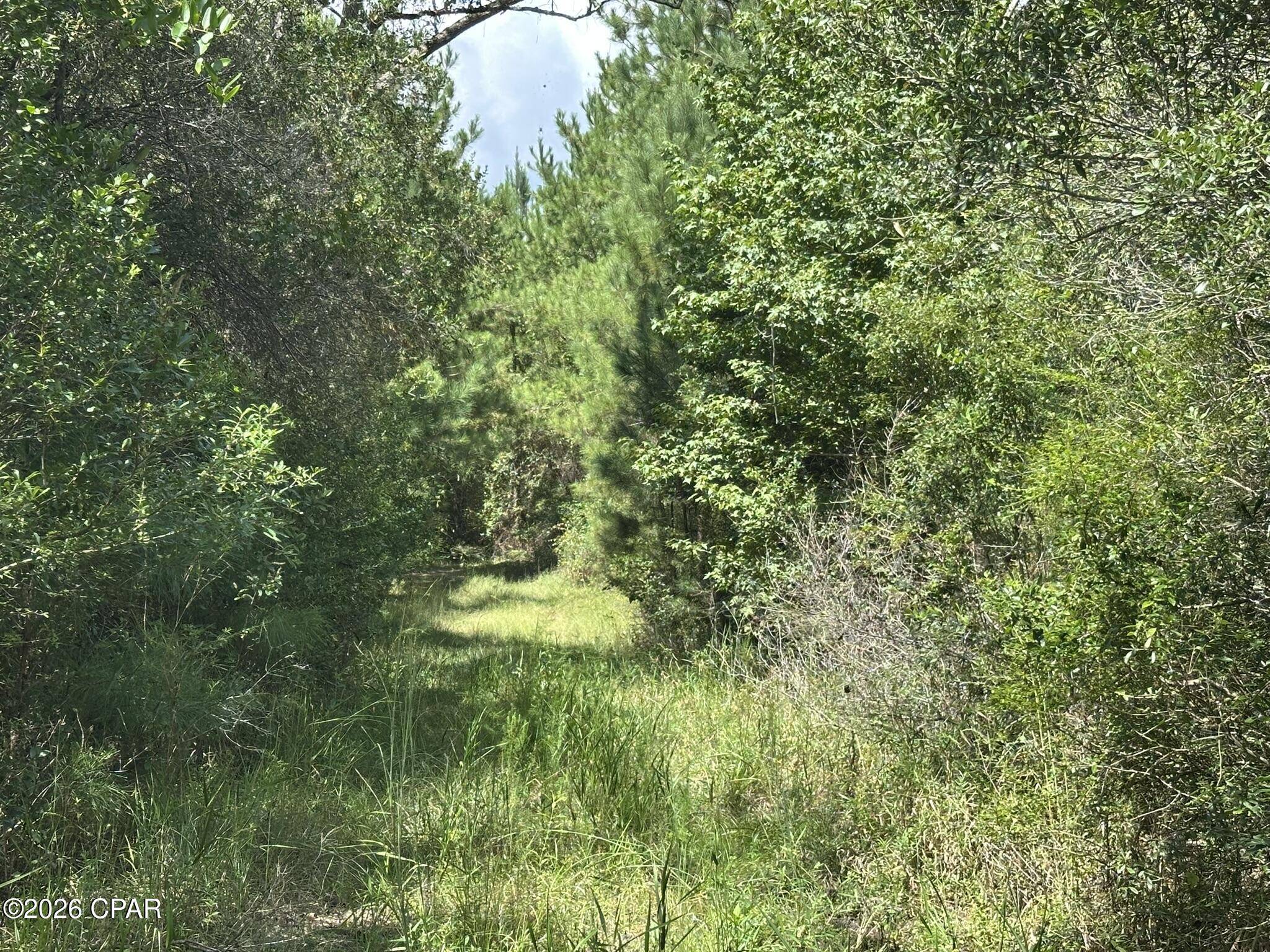 TRACT#6418 N Mattox Springs Road Caryville FL 32427