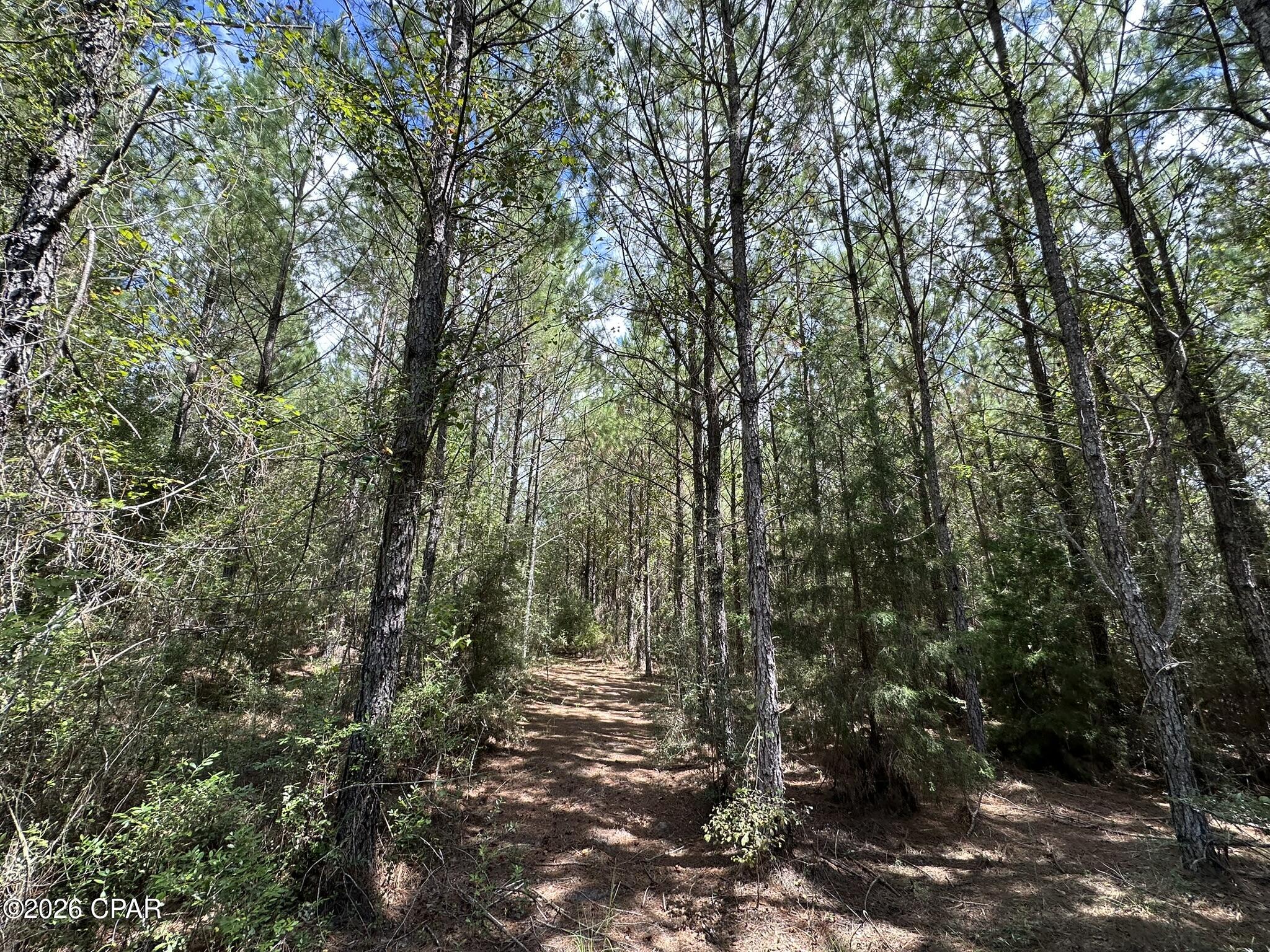 TRACT#6418 N Mattox Springs Road Caryville FL 32427