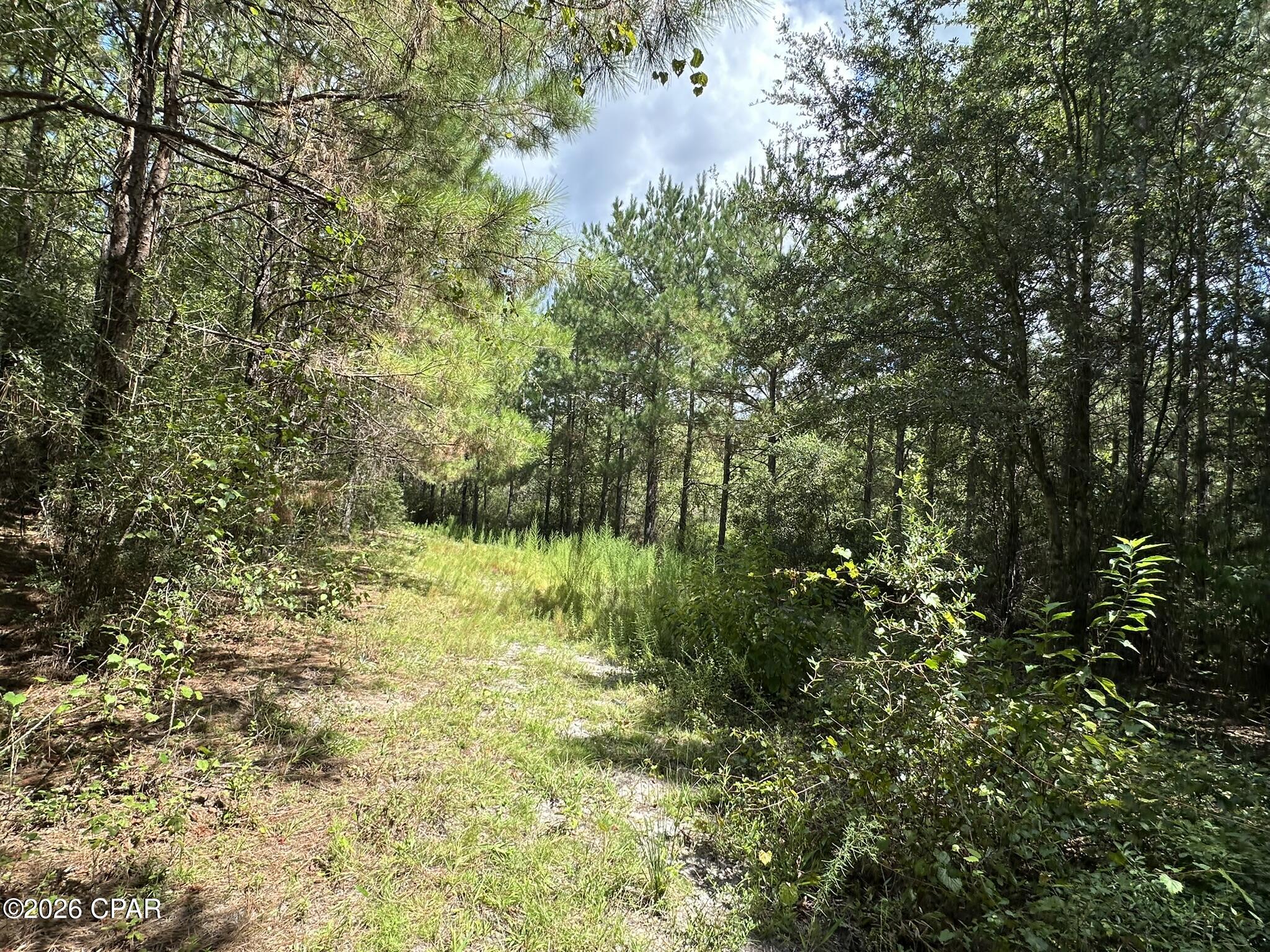 TRACT#6418 N Mattox Springs Road Caryville FL 32427