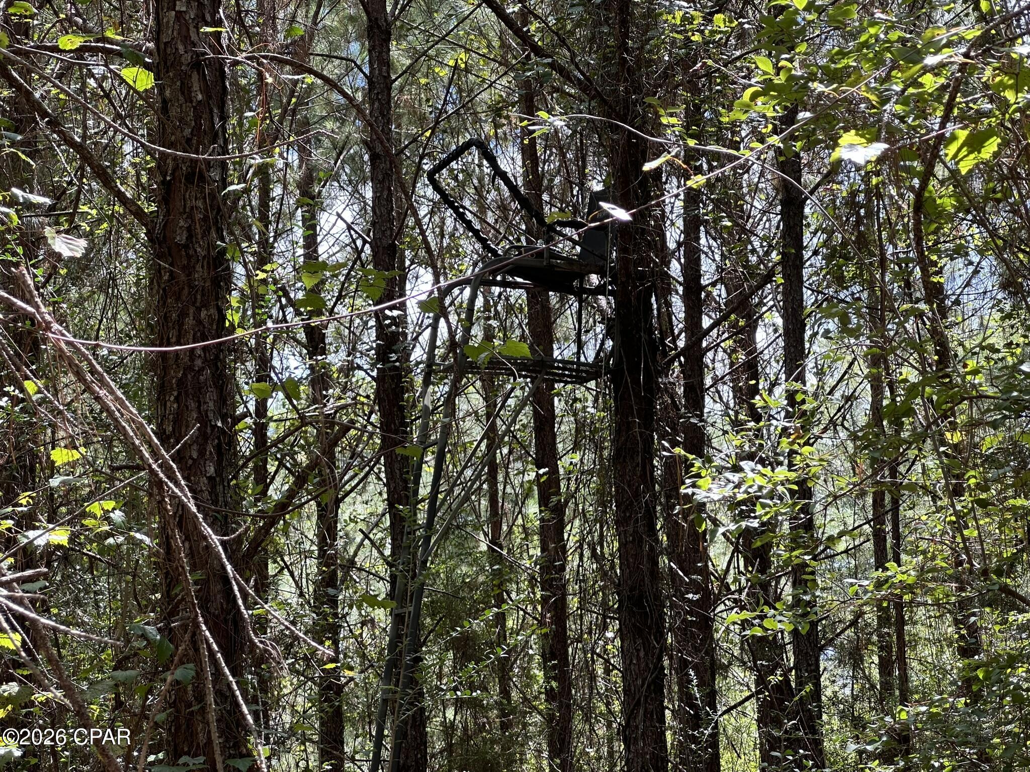 TRACT#6418 N Mattox Springs Road Caryville FL 32427