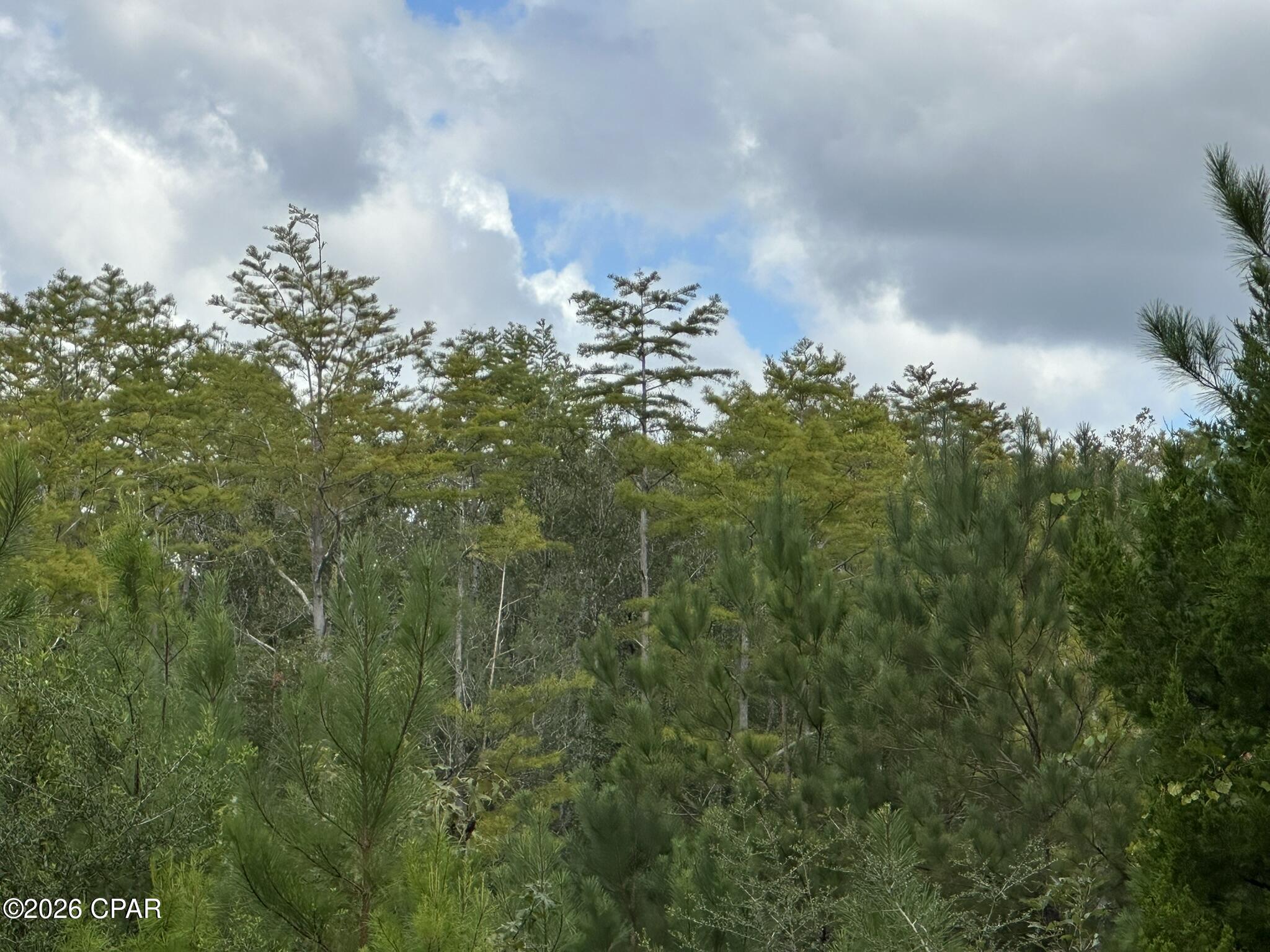 TRACT#6418 N Mattox Springs Road Caryville FL 32427