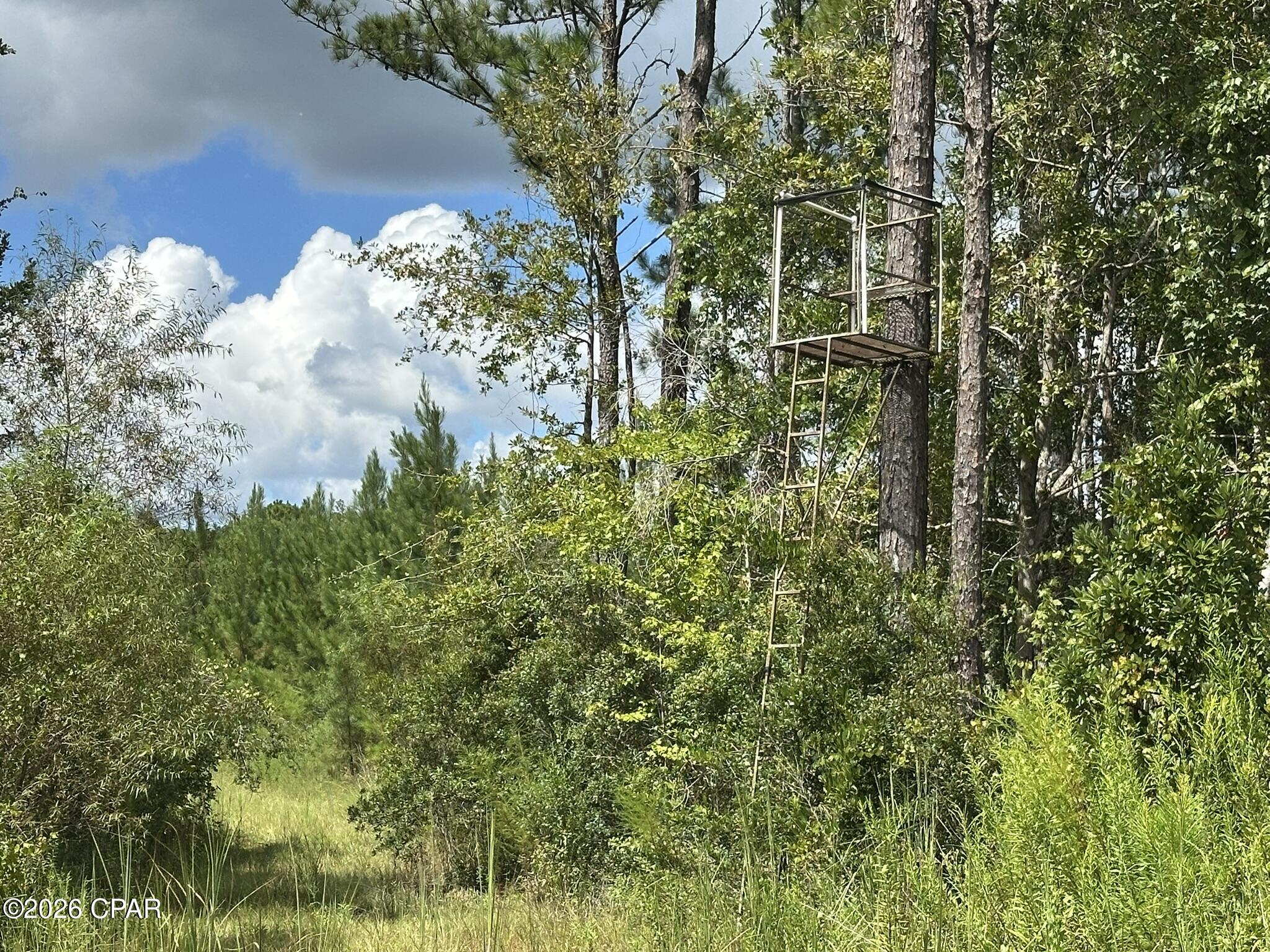 TRACT#6418 N Mattox Springs Road Caryville FL 32427