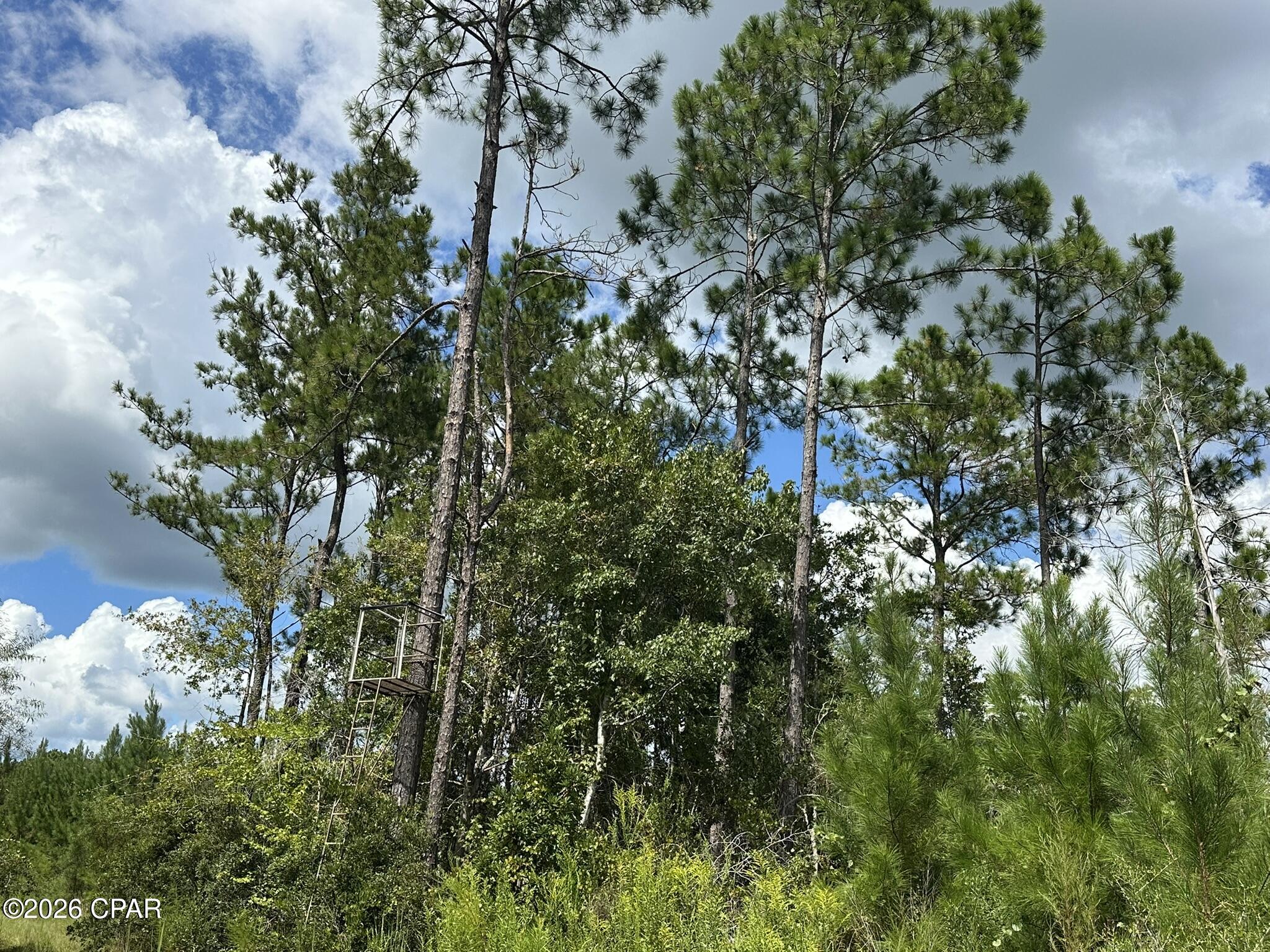 TRACT#6418 N Mattox Springs Road Caryville FL 32427