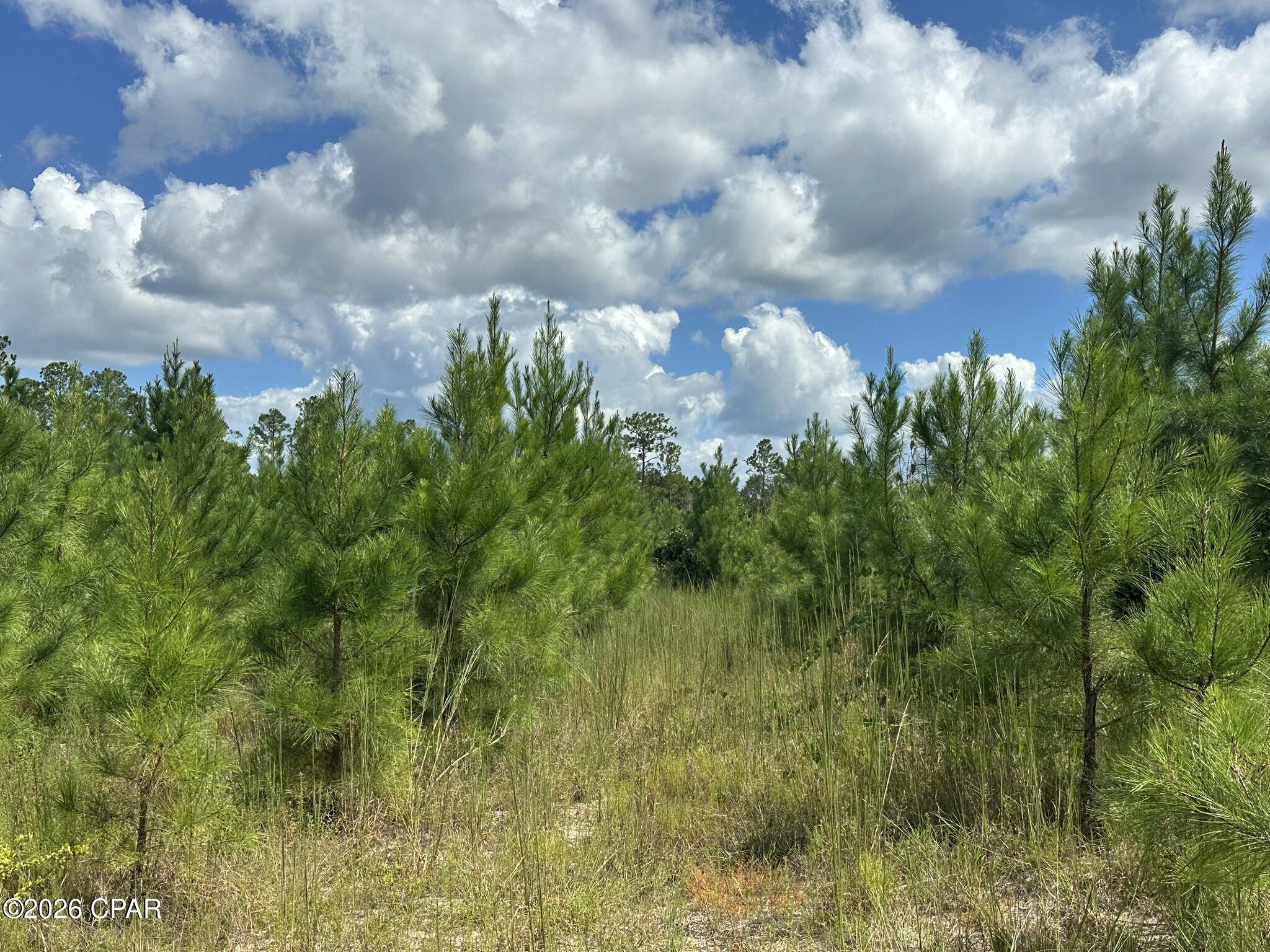 TRACT#6418 N Mattox Springs Road Caryville FL 32427