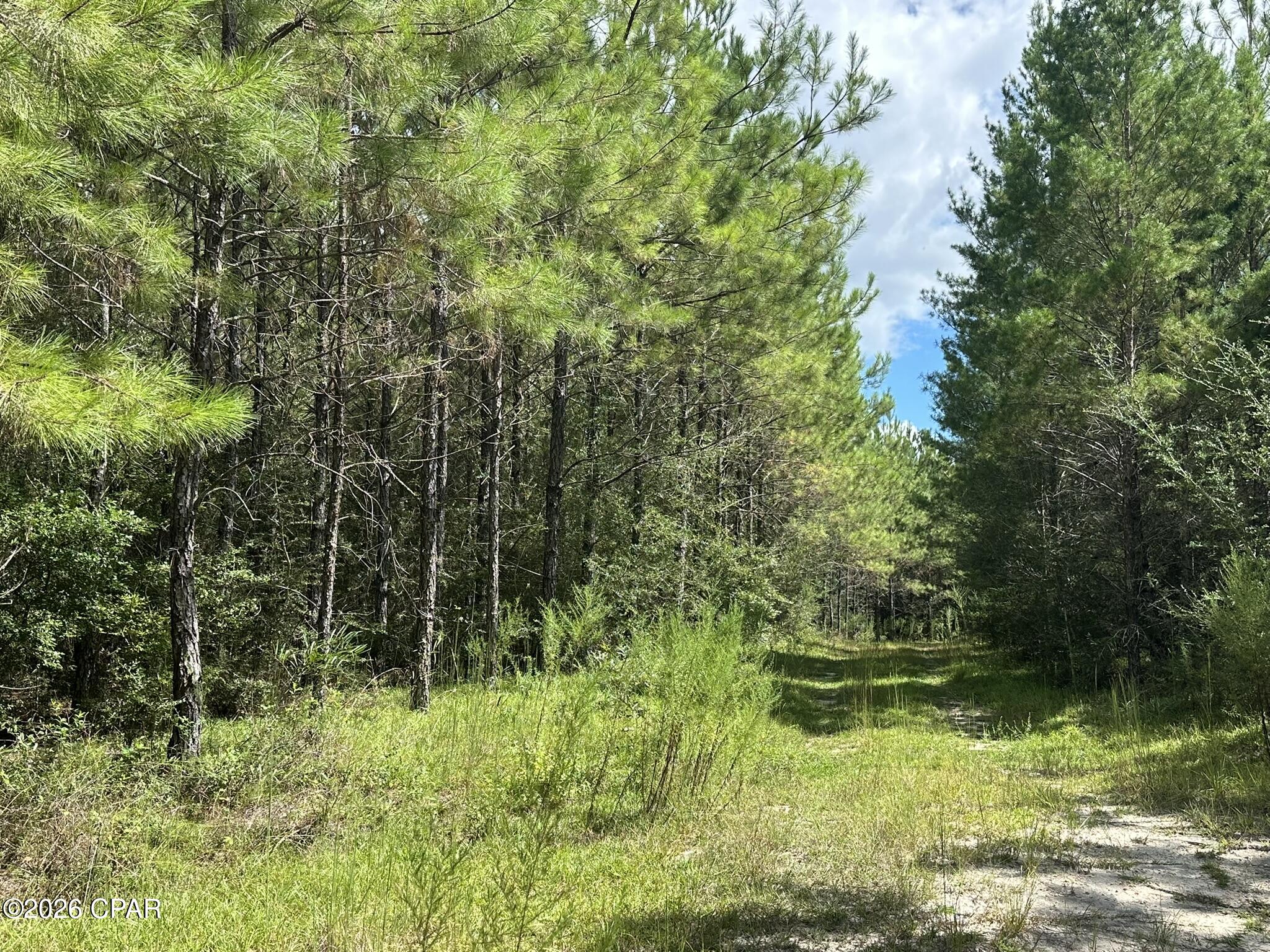 TRACT#6418 N Mattox Springs Road Caryville FL 32427