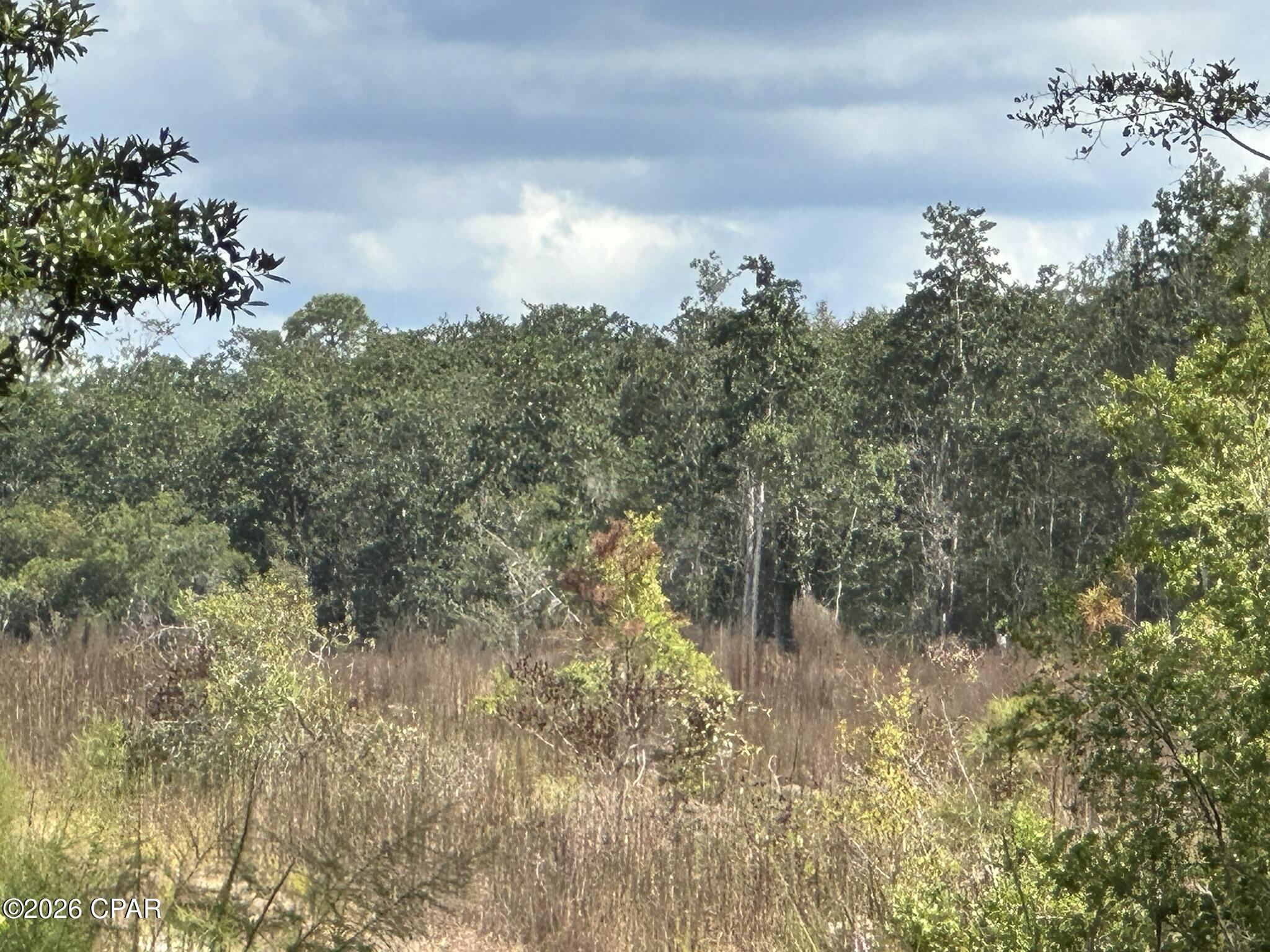 TRACT#6418 N Mattox Springs Road Caryville FL 32427