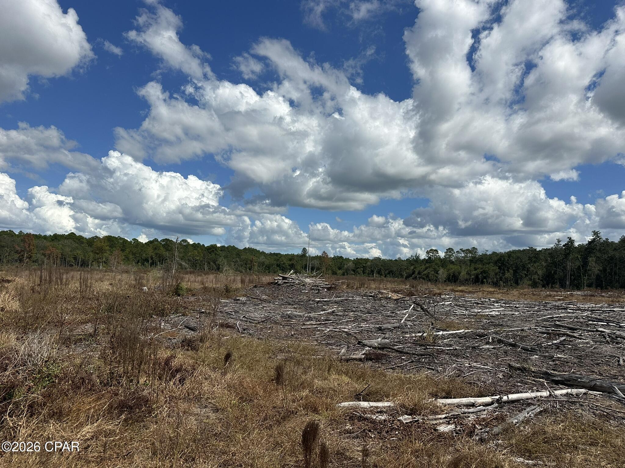 TRACT#6418 N Mattox Springs Road Caryville FL 32427