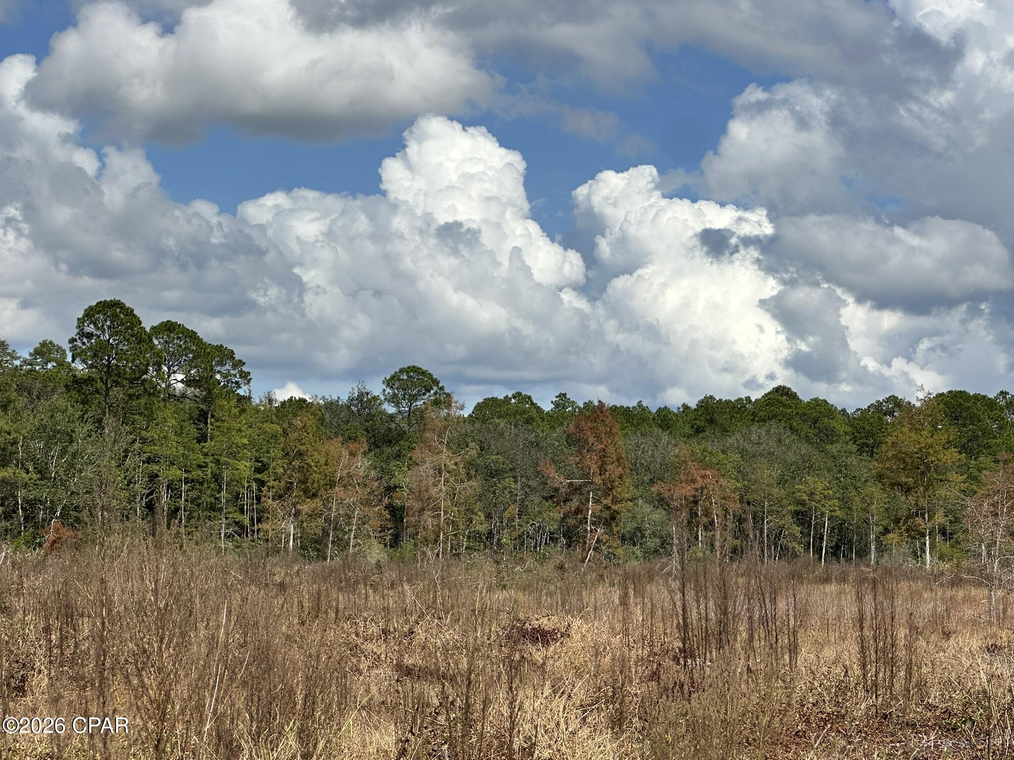 TRACT#6418 N Mattox Springs Road Caryville FL 32427