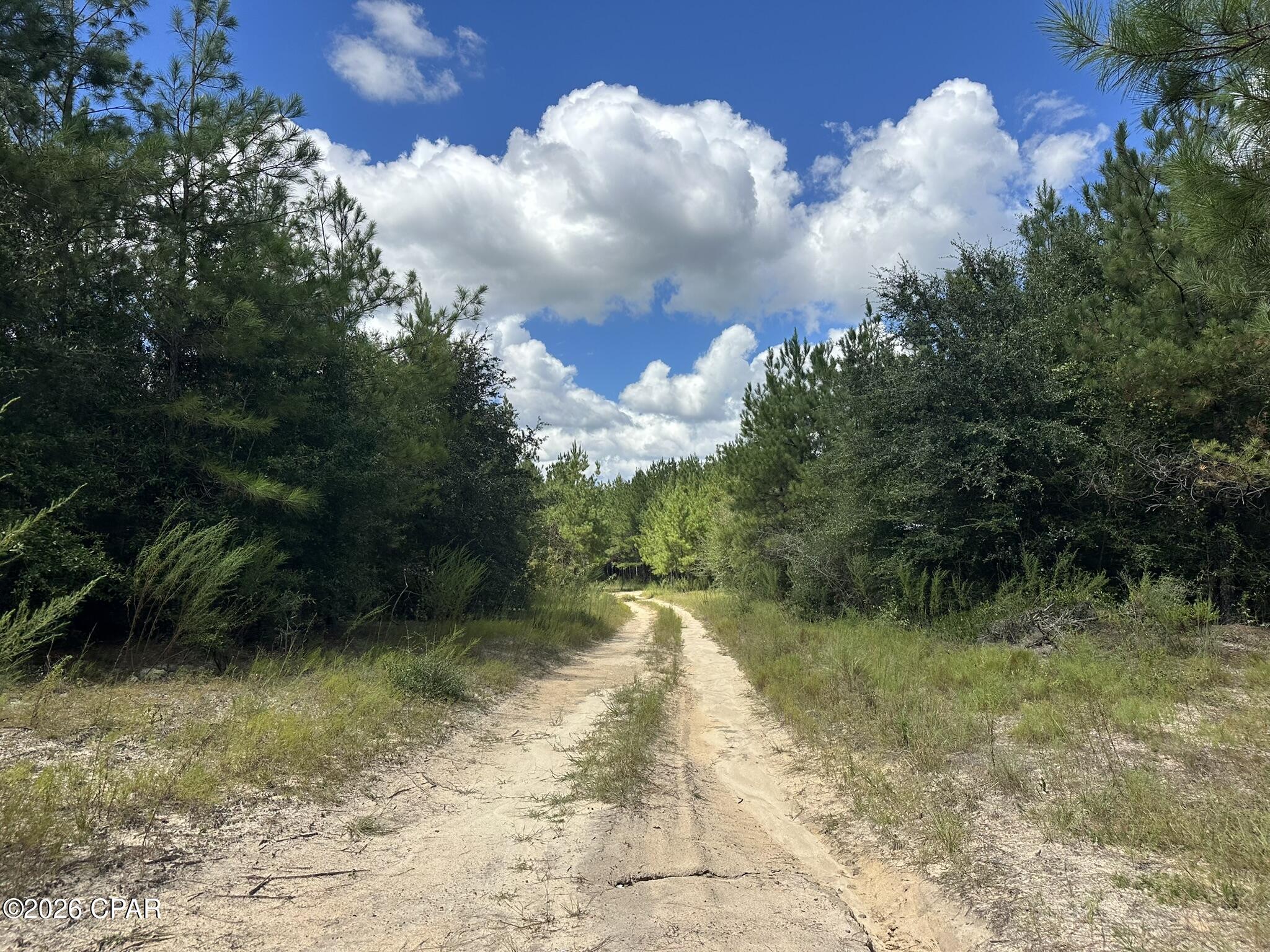 TRACT#6418 N Mattox Springs Road Caryville FL 32427