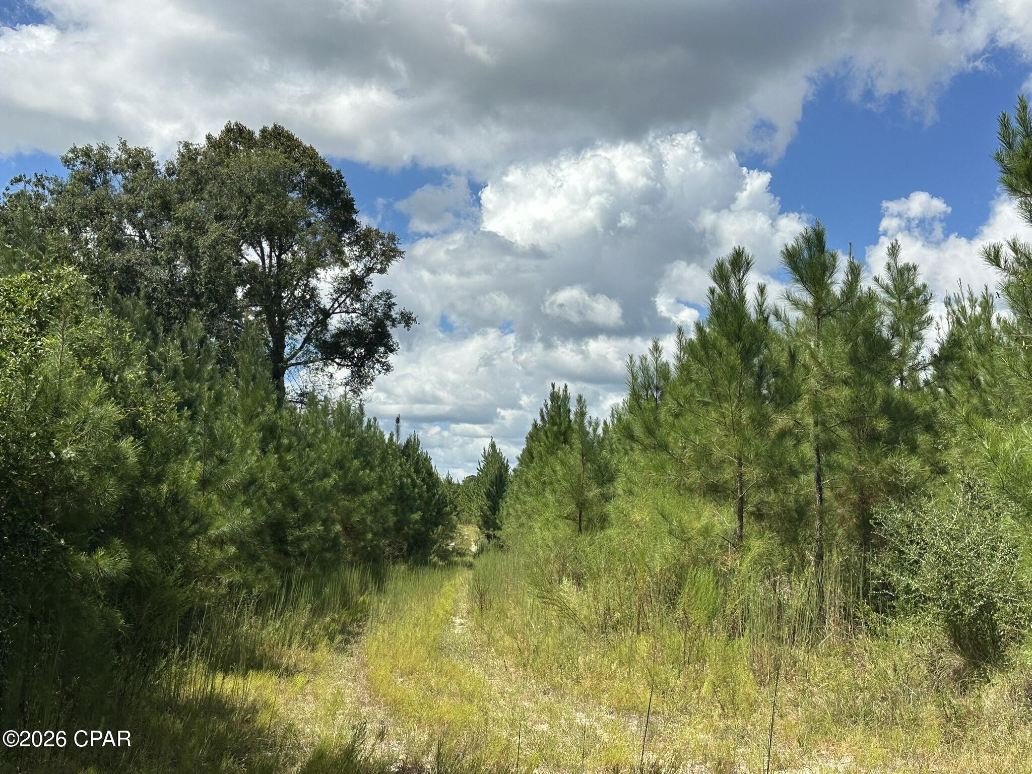 TRACT#6418 N Mattox Springs Road Caryville FL 32427