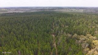 TRACT#6418 Mattox Springs Road Caryville FL 32427