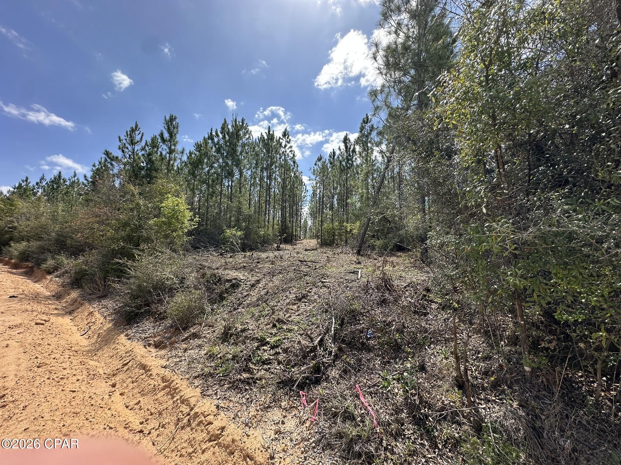 TRACT#6418 Mattox Springs Road Caryville FL 32427